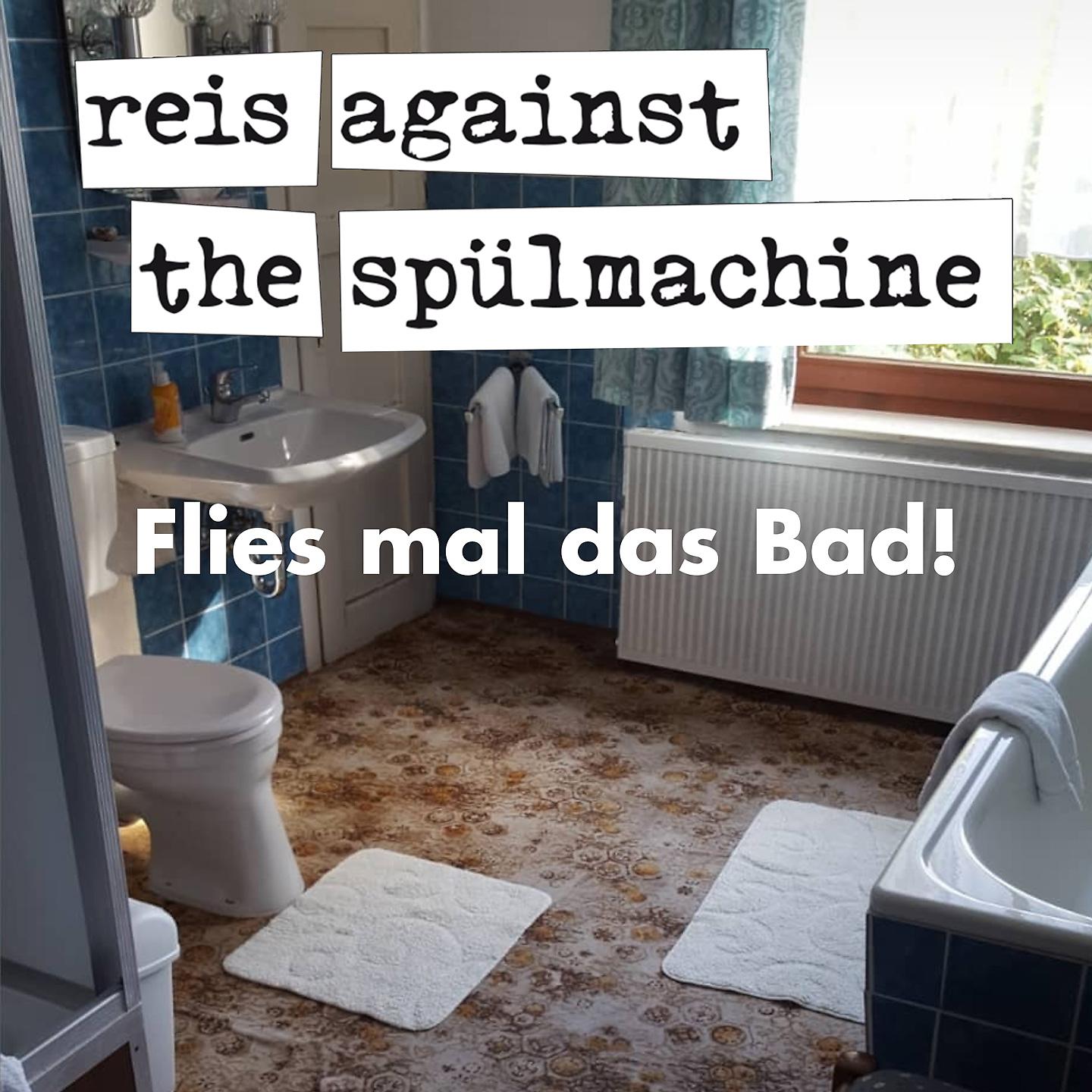 Постер альбома Flies mal das Bad