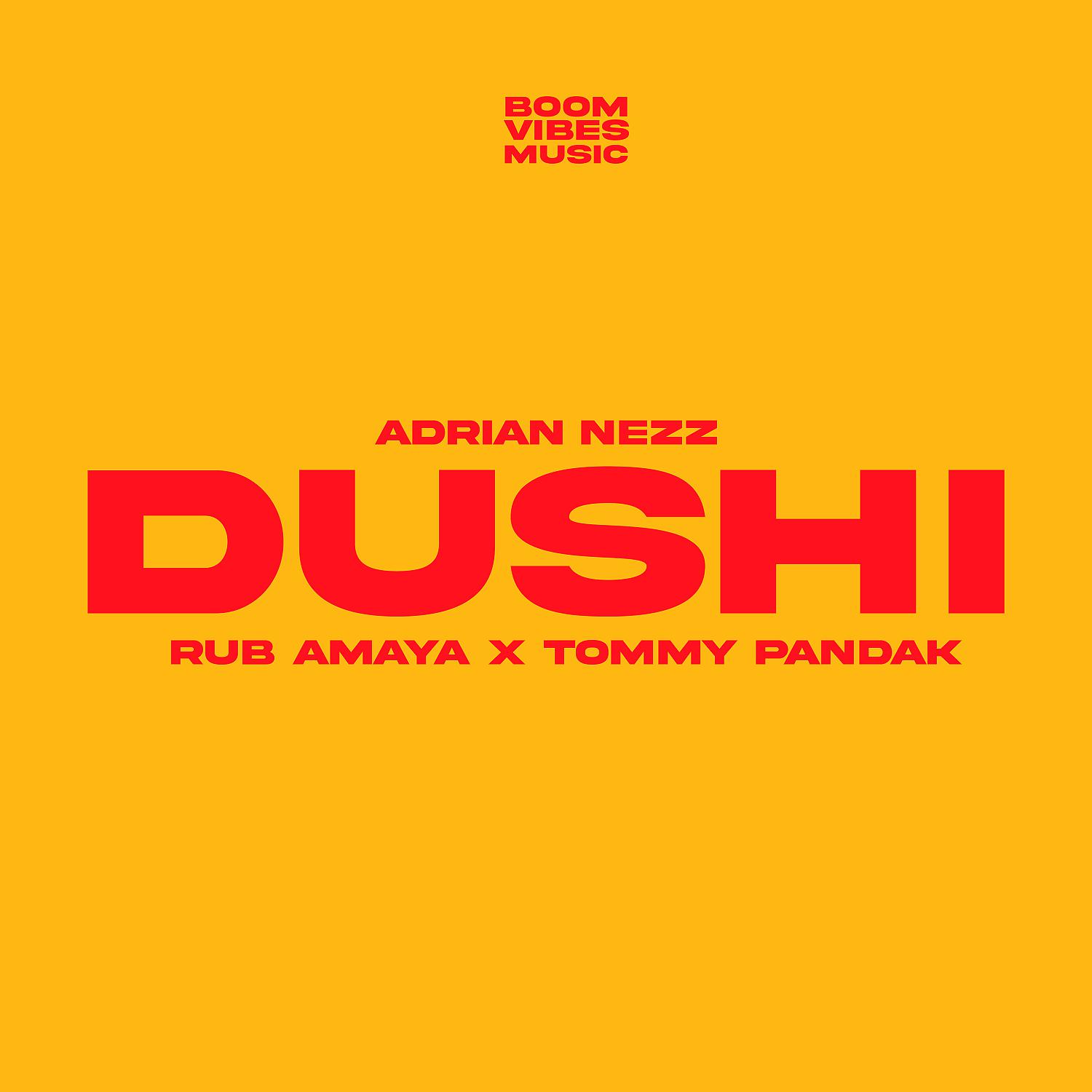Постер альбома Dushi