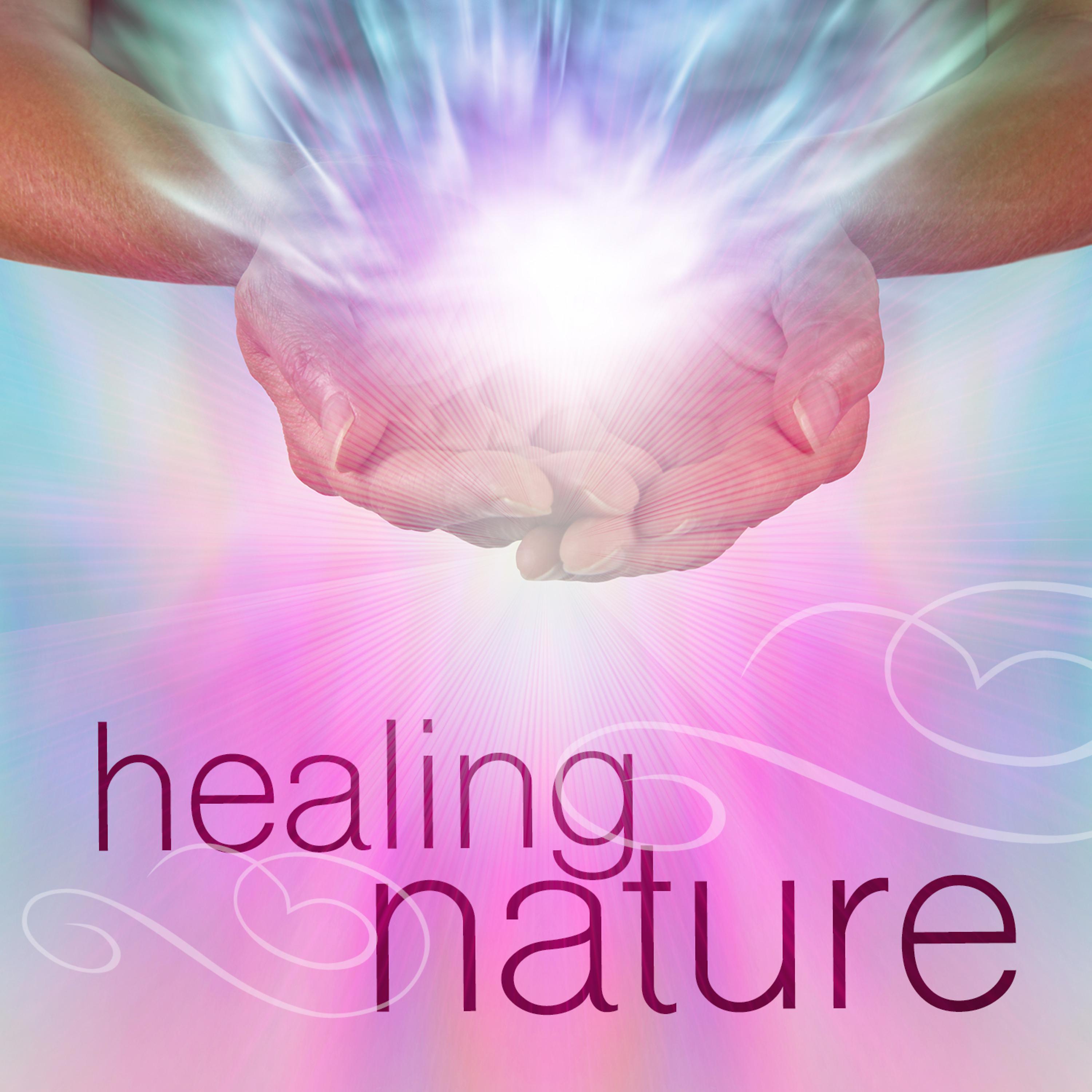 Постер альбома Healing Nature
