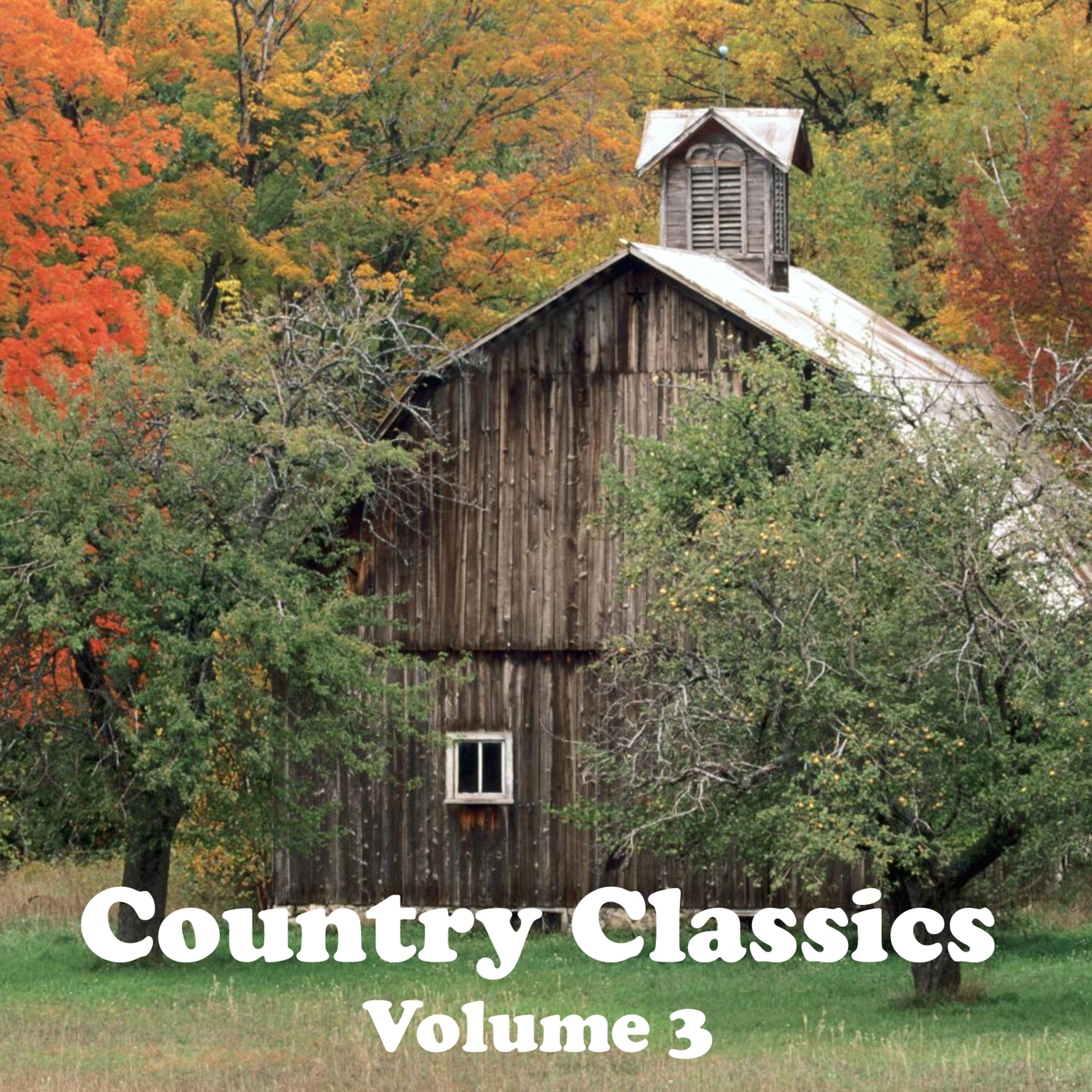 Постер альбома Country Classics Volume 3