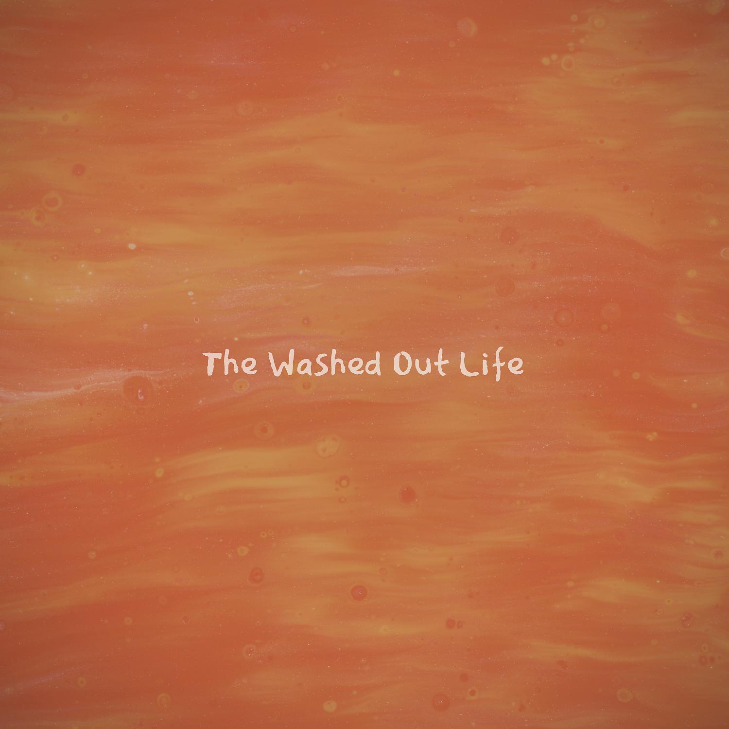 Постер альбома The Washed Out Life