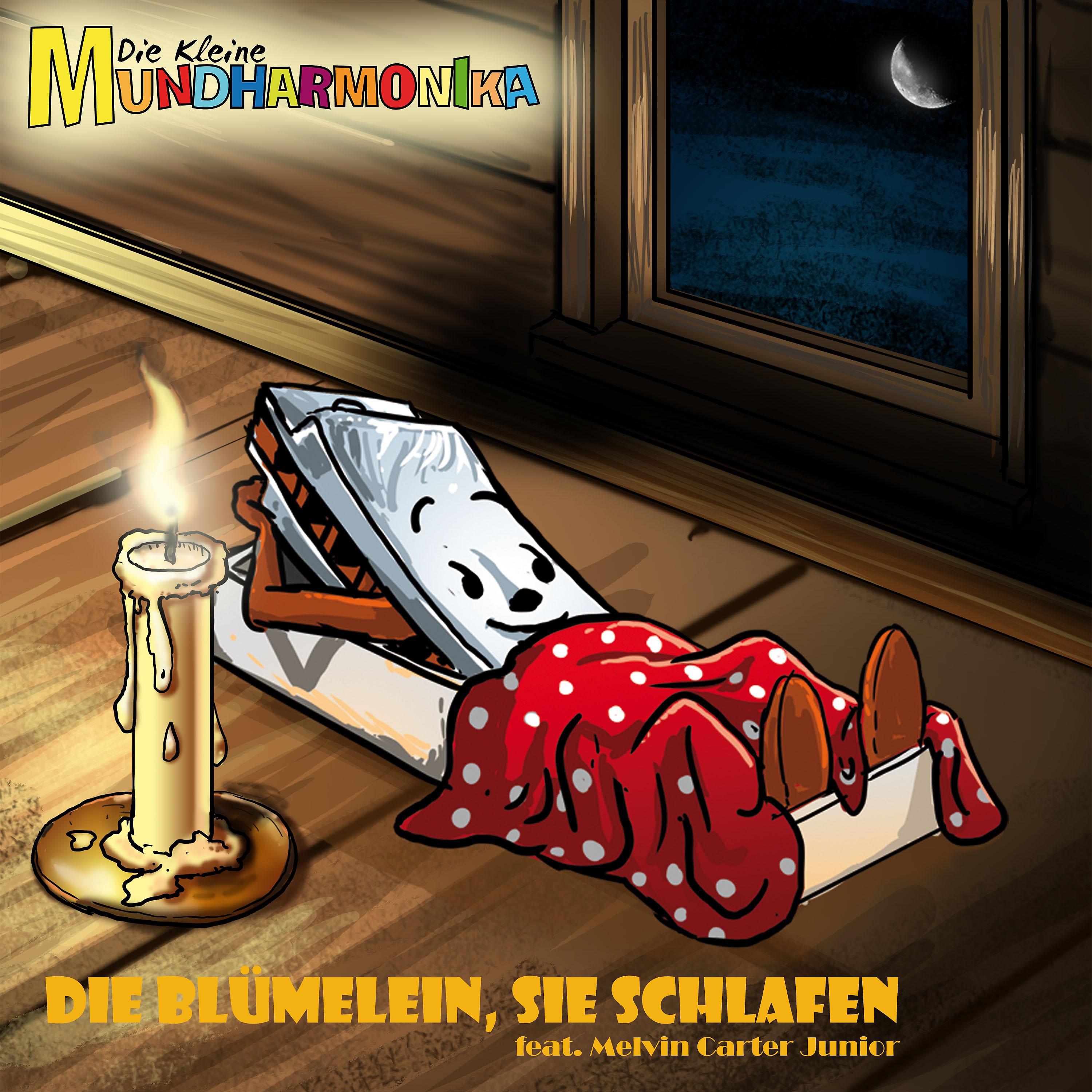 Постер альбома Die Blümelein, sie schlafen