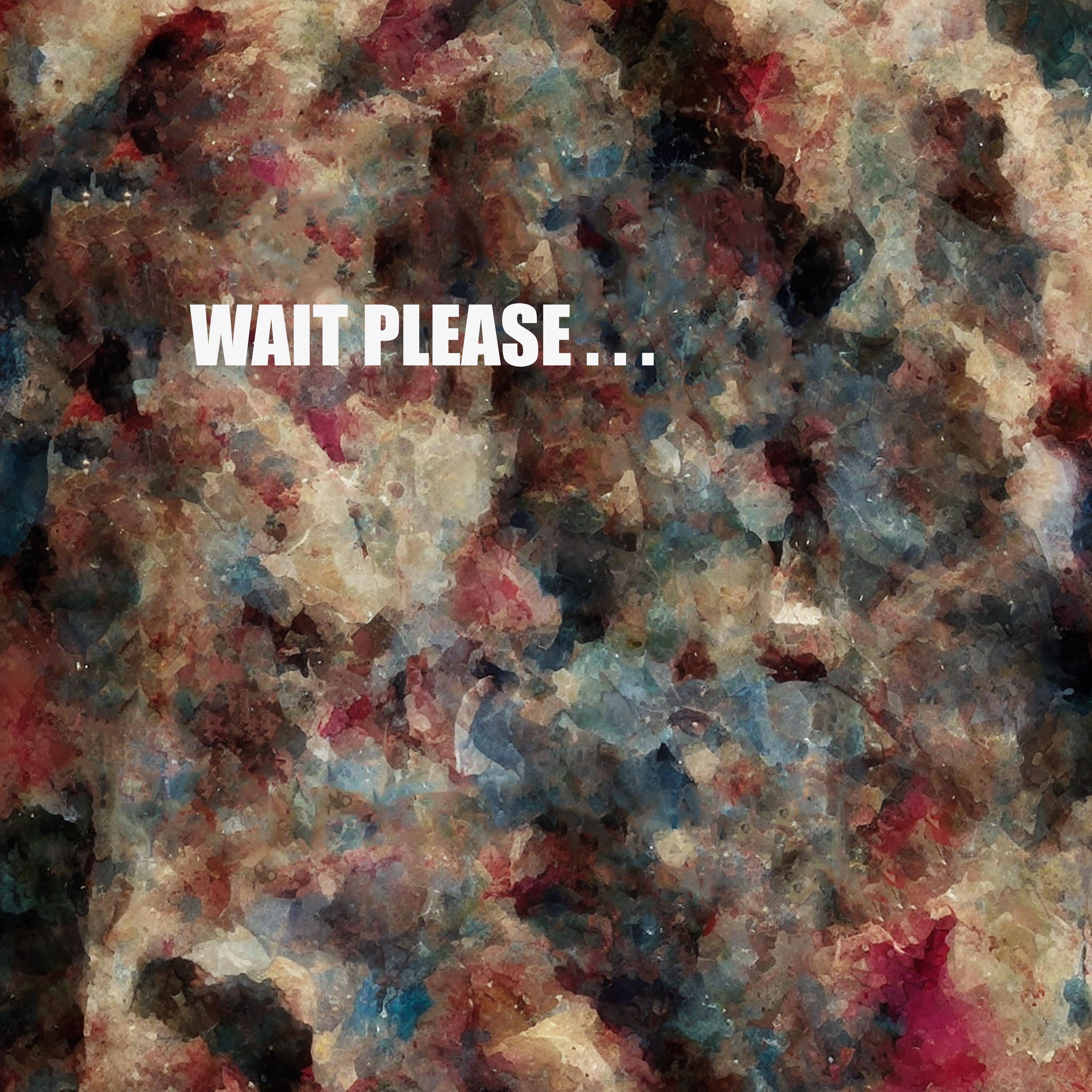 Постер альбома Wait Please