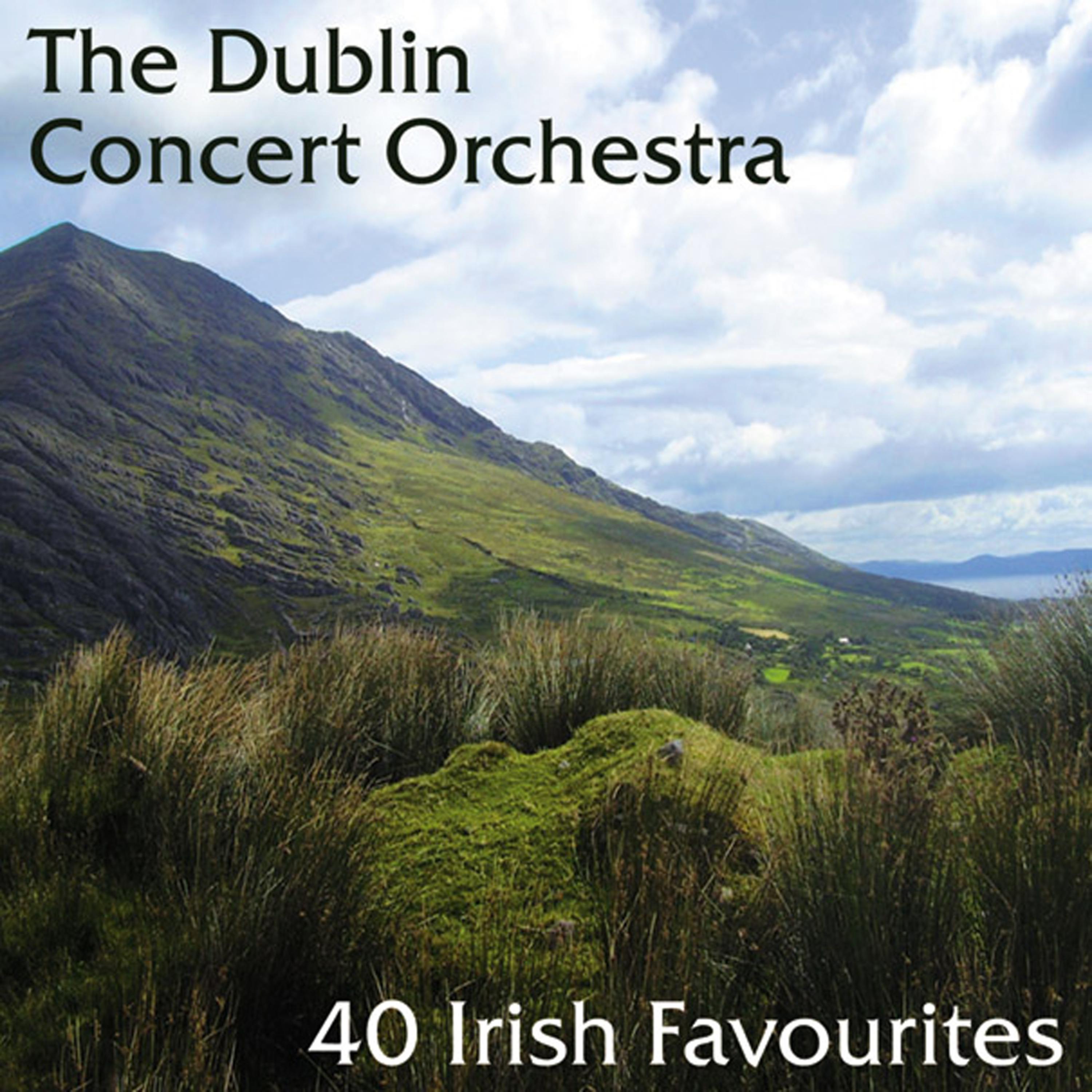 Постер альбома 40 Irish Favourites