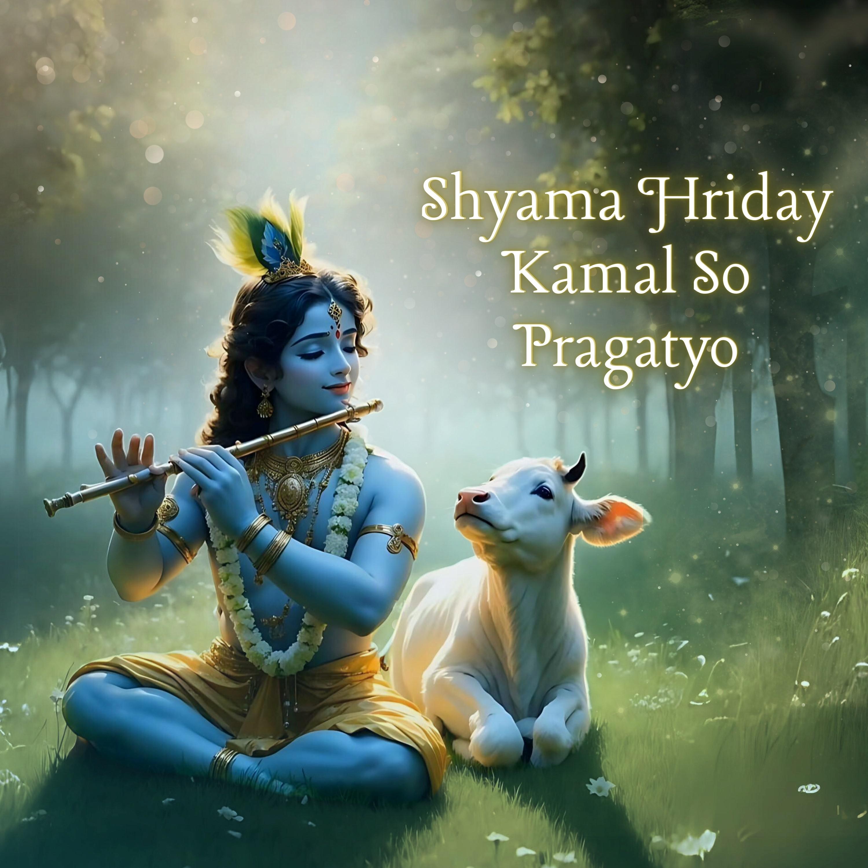 Постер альбома Shyama Hriday Kamal So Pragatyo