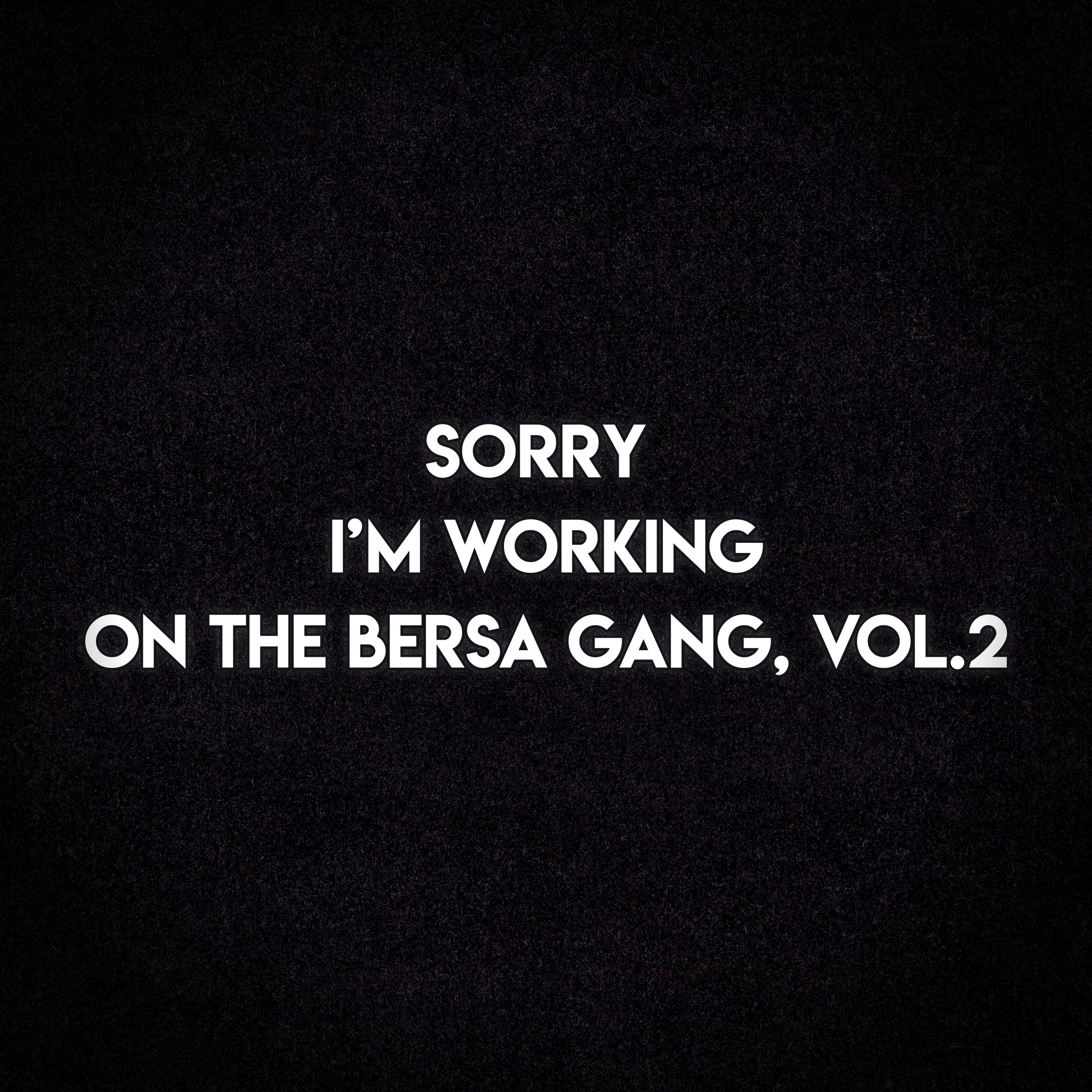 Постер альбома Sorry i’m Working on the Bersa Gang, Vol.2