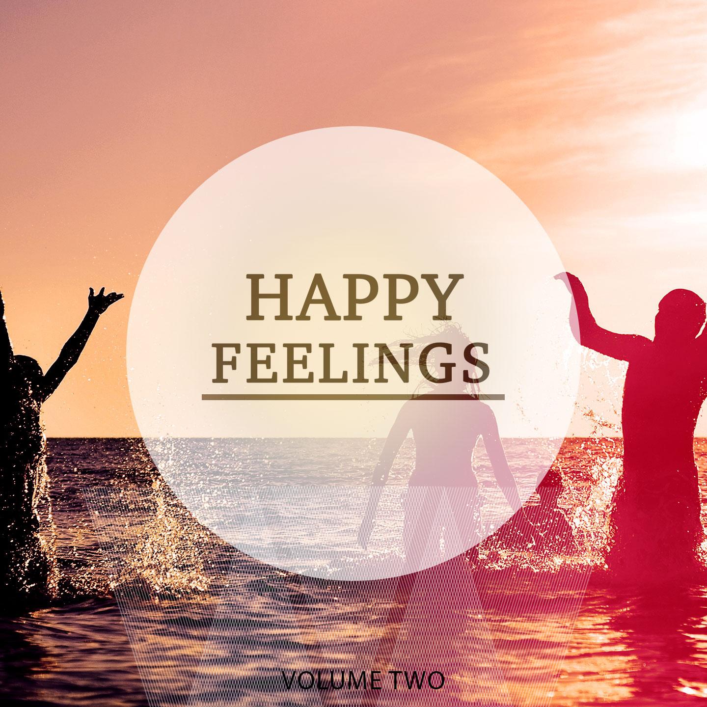 Постер альбома Happy Feelings, Vol. 2
