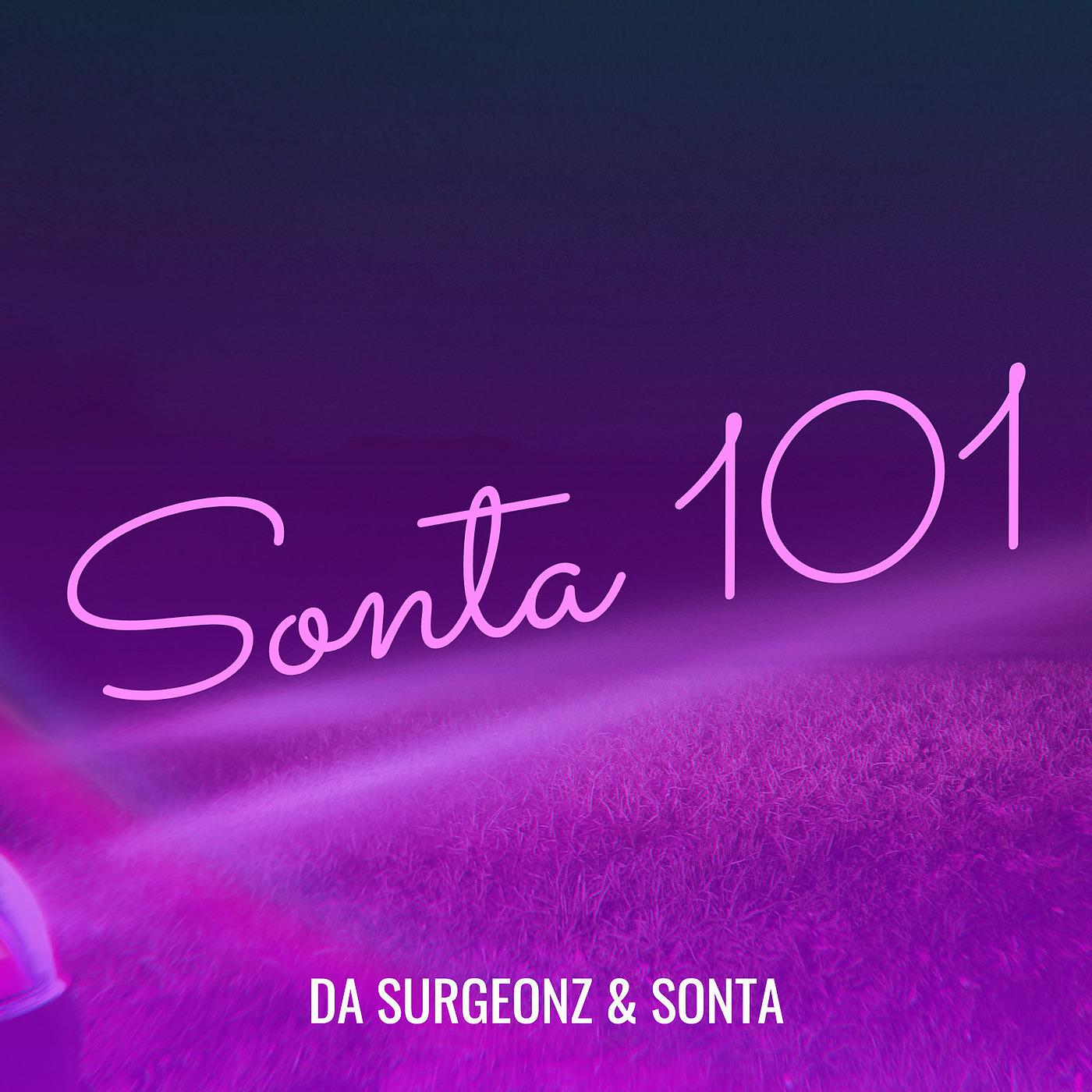 Постер альбома Sonta 101