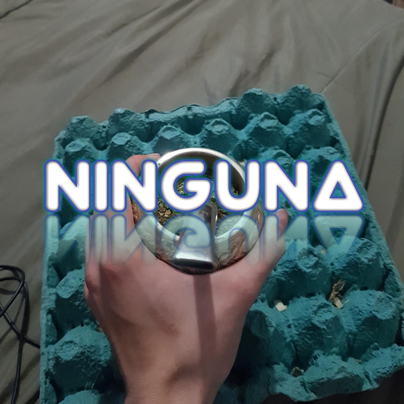 Постер альбома Ninguna