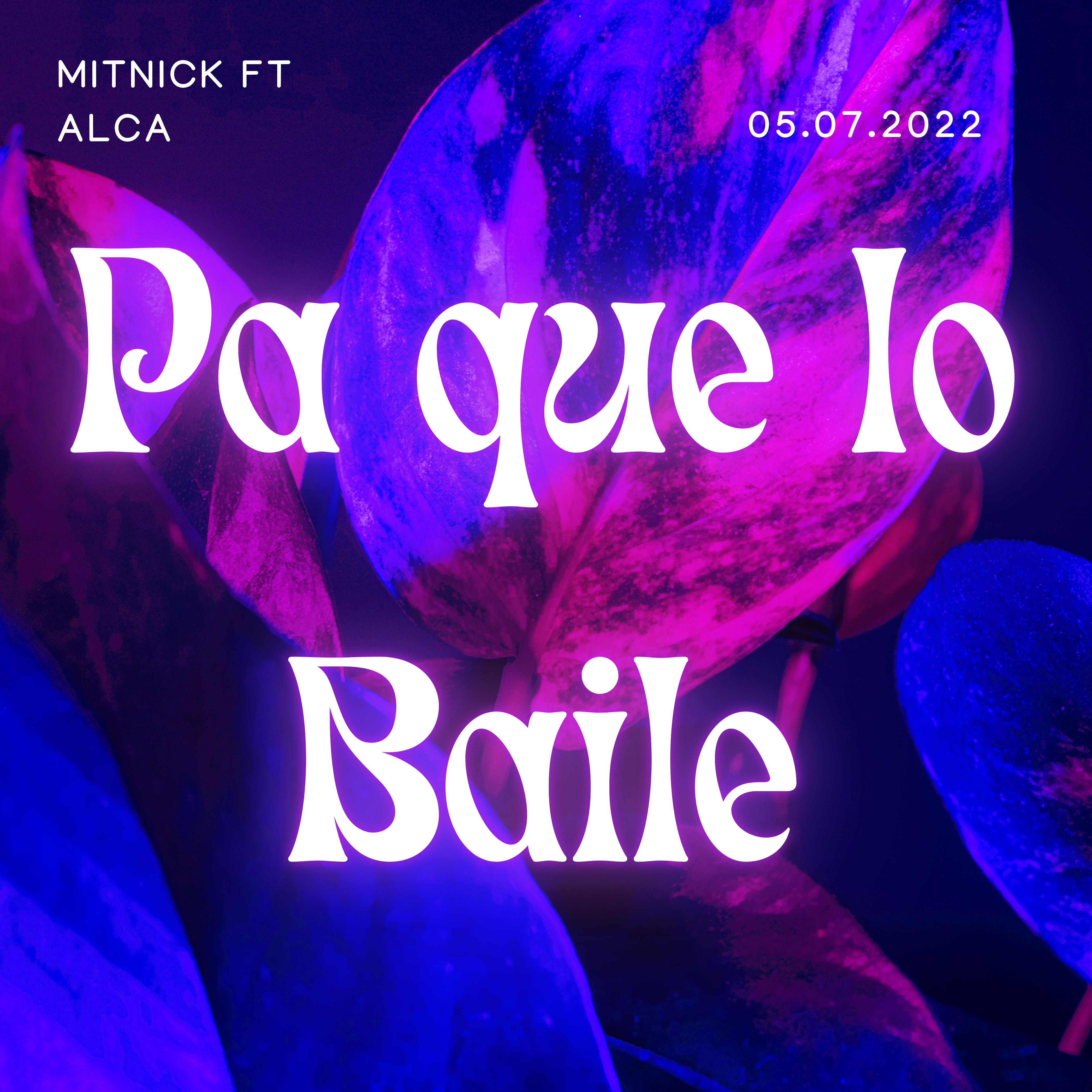 Постер альбома Pa Que Lo Baile