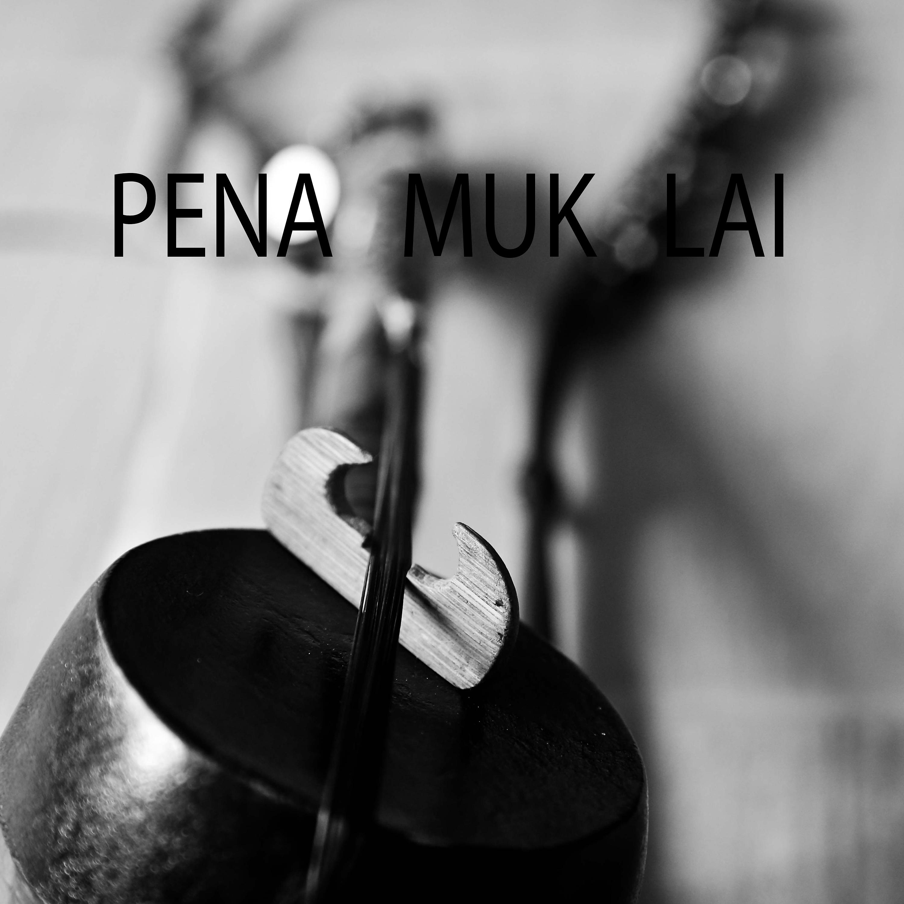 Постер альбома Pena Muk Lai