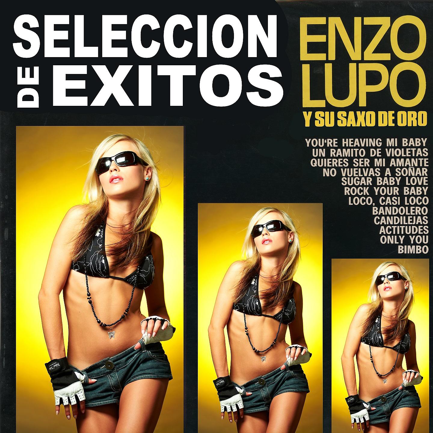 Постер альбома Seleccion de Exitos