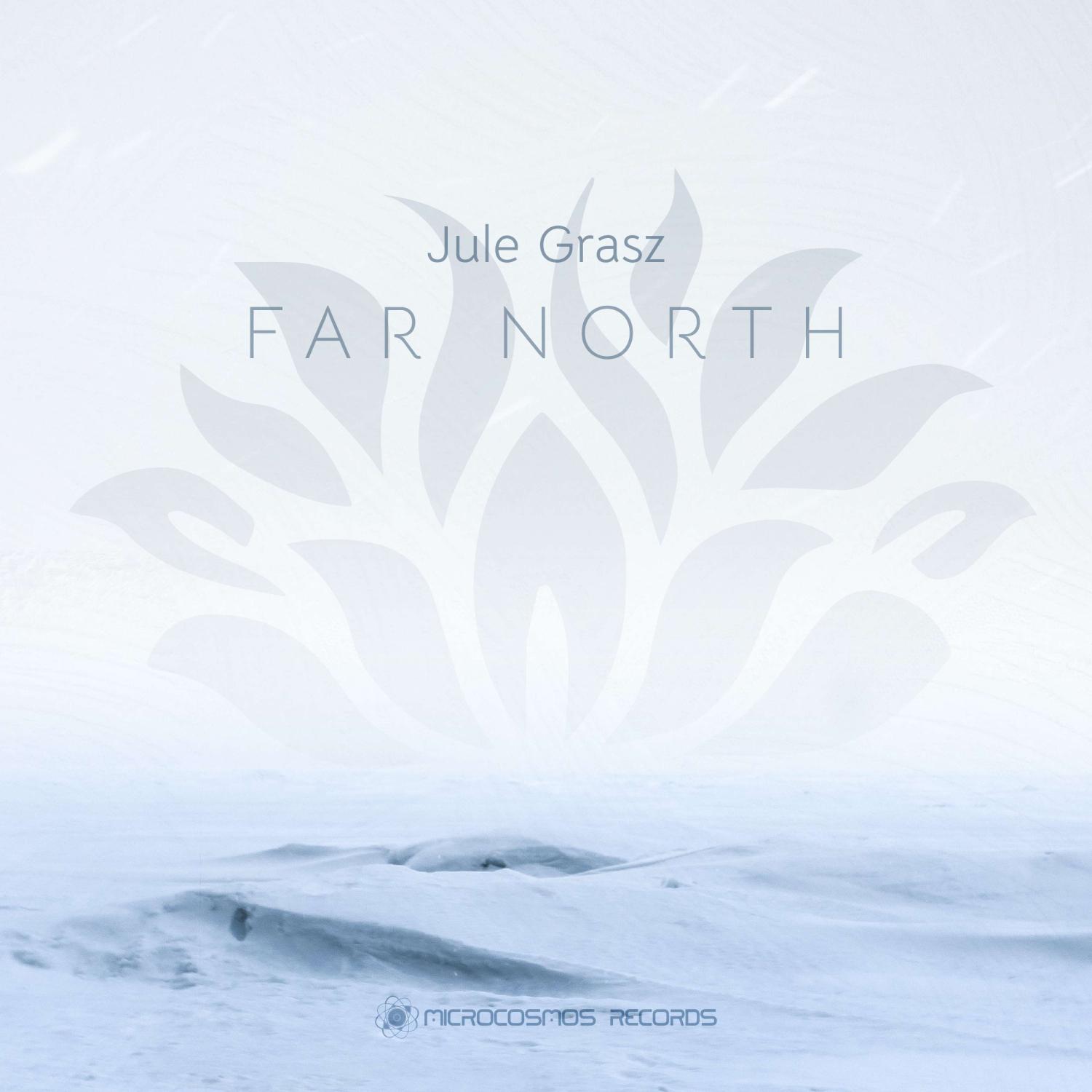Постер альбома Far North