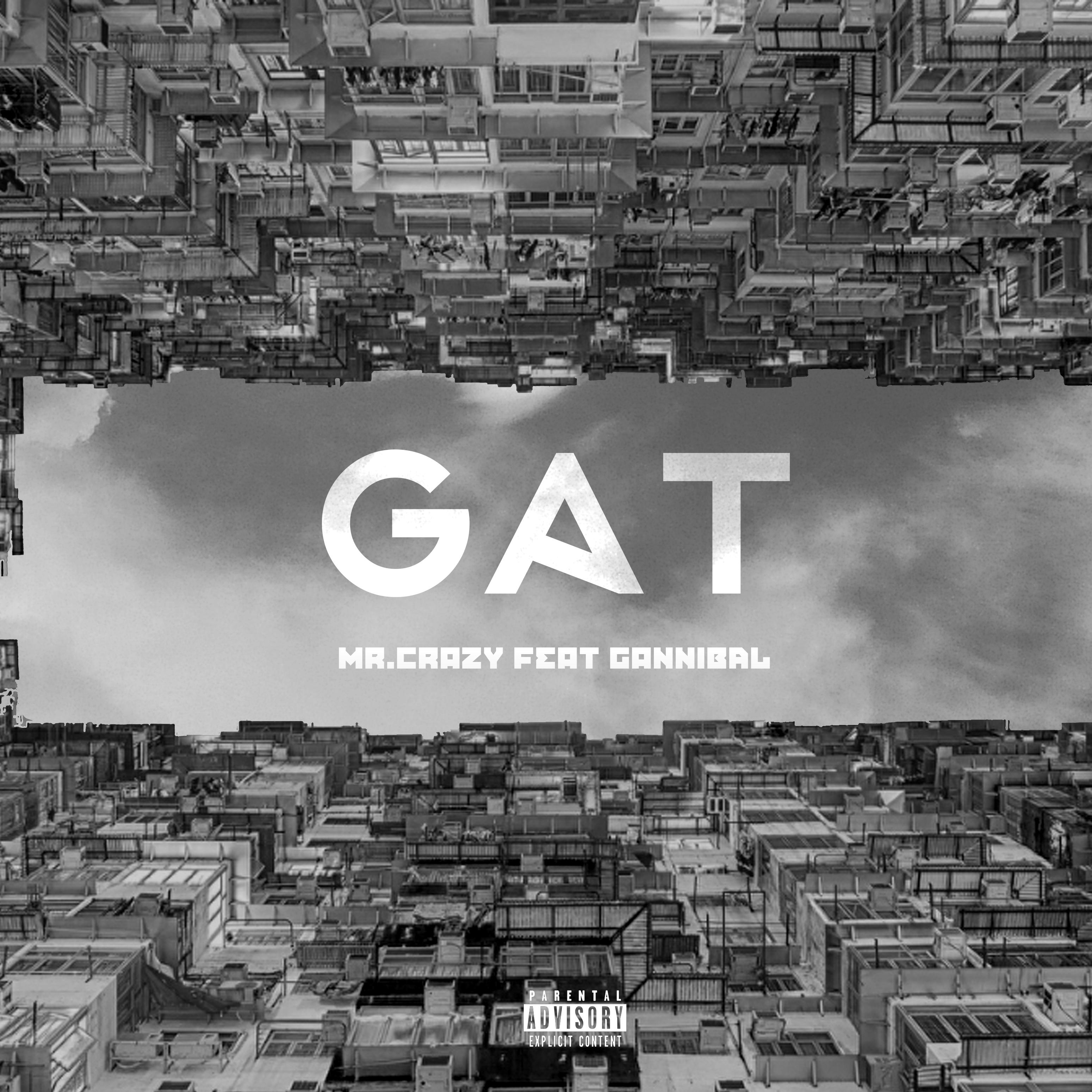 Постер альбома Gat (feat. Gannibal)