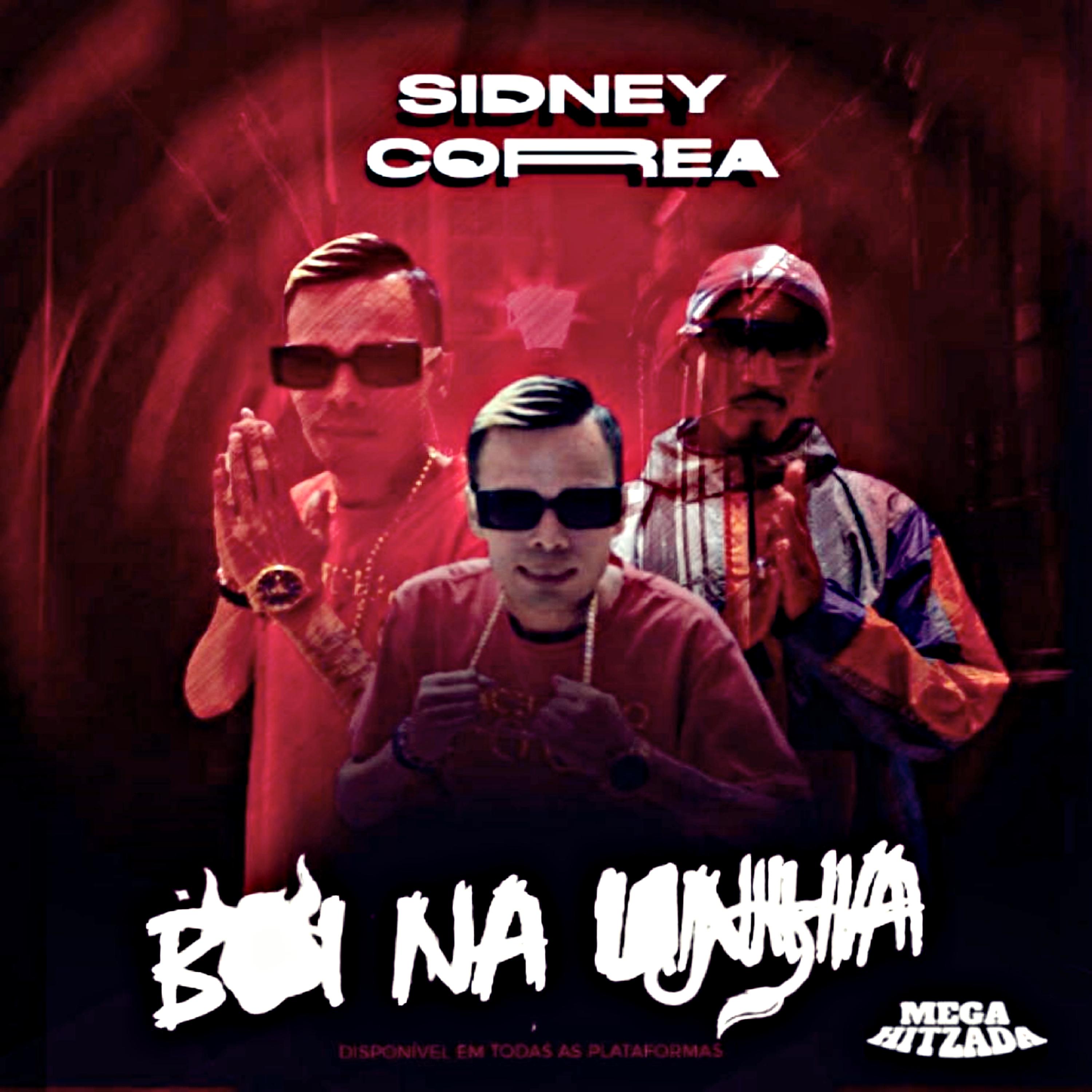 Постер альбома Boi na Linha