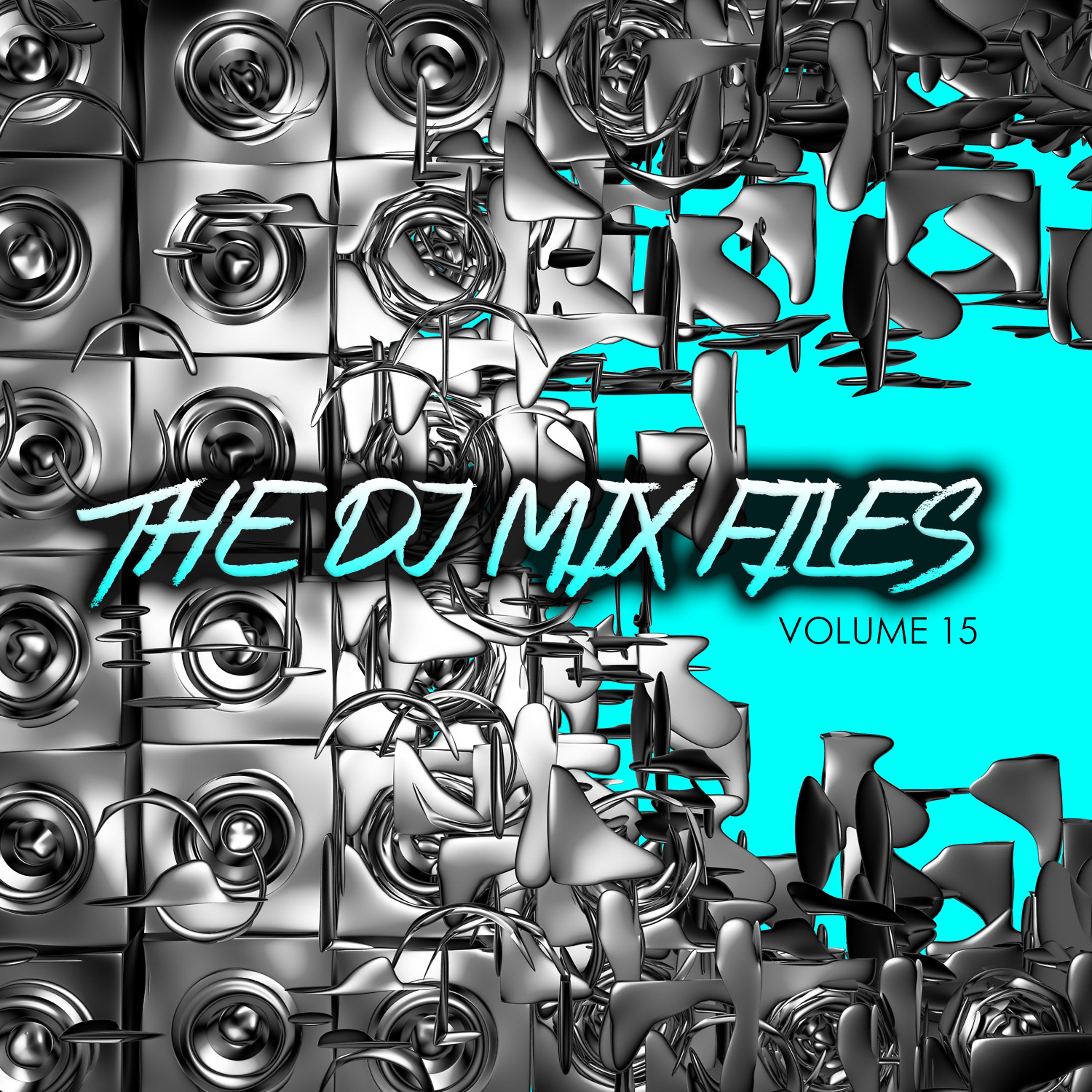 Постер альбома The DJ Mix Files, Vol. 15