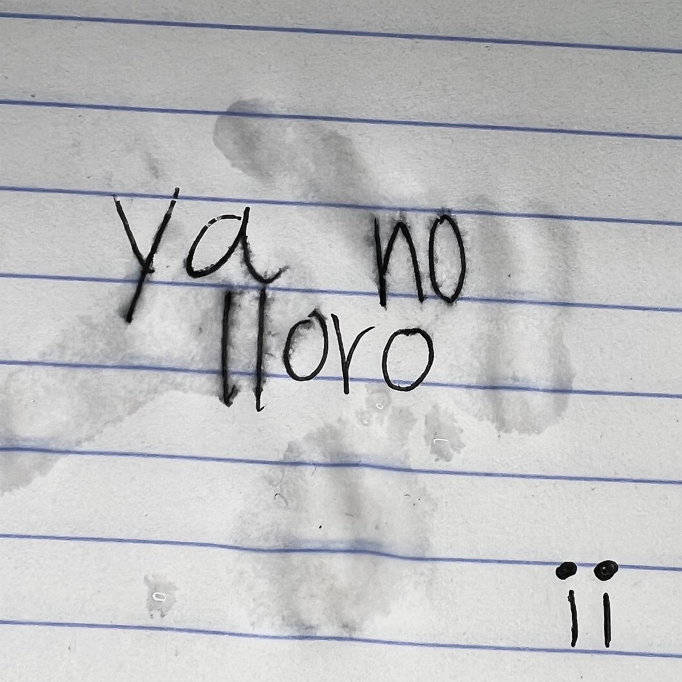 Постер альбома Ya No Lloro