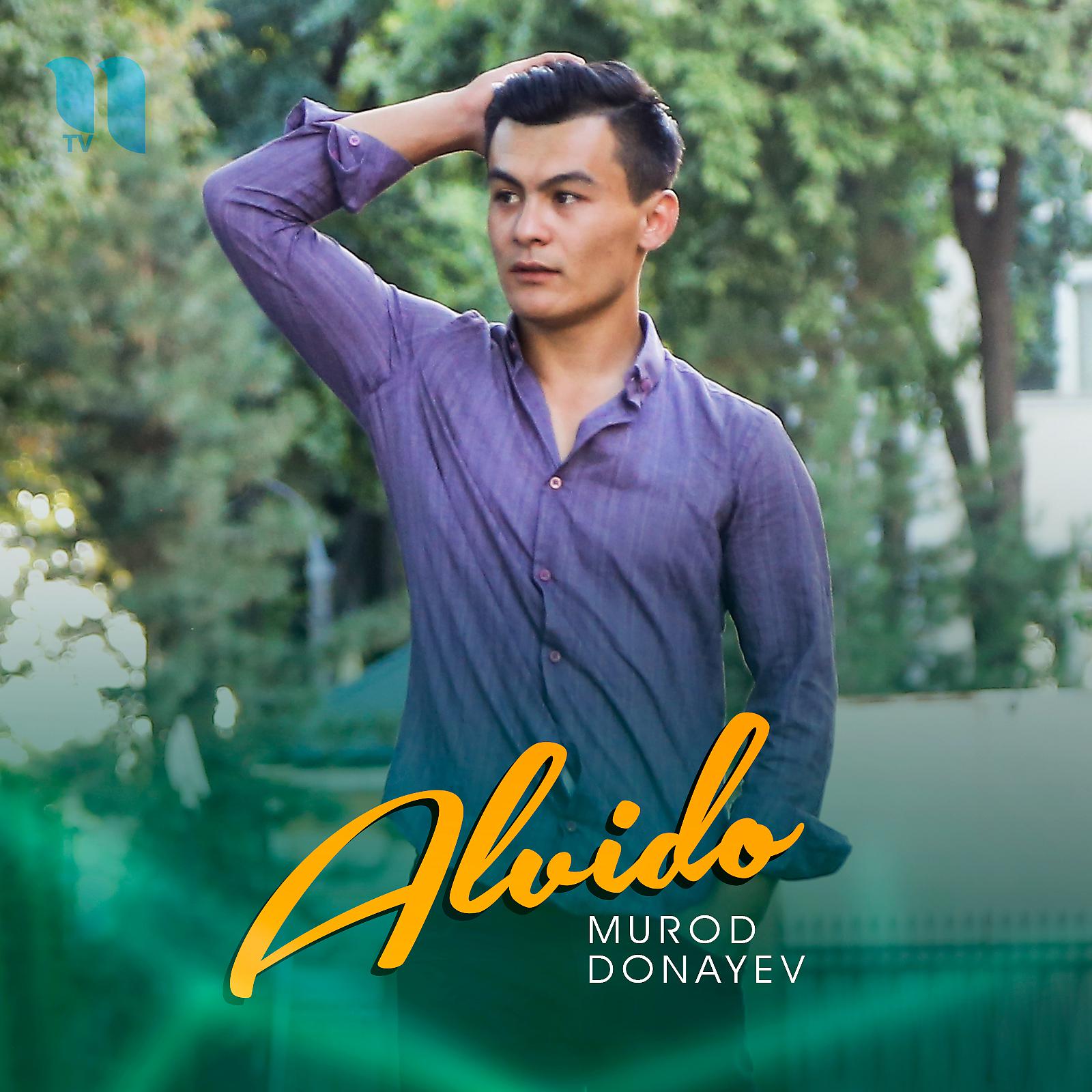 Постер альбома Alvido