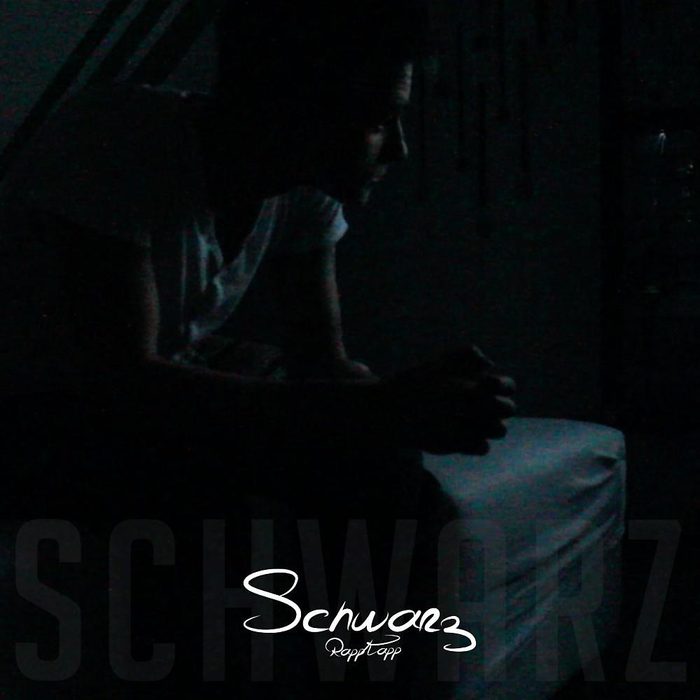 Постер альбома Schwarz