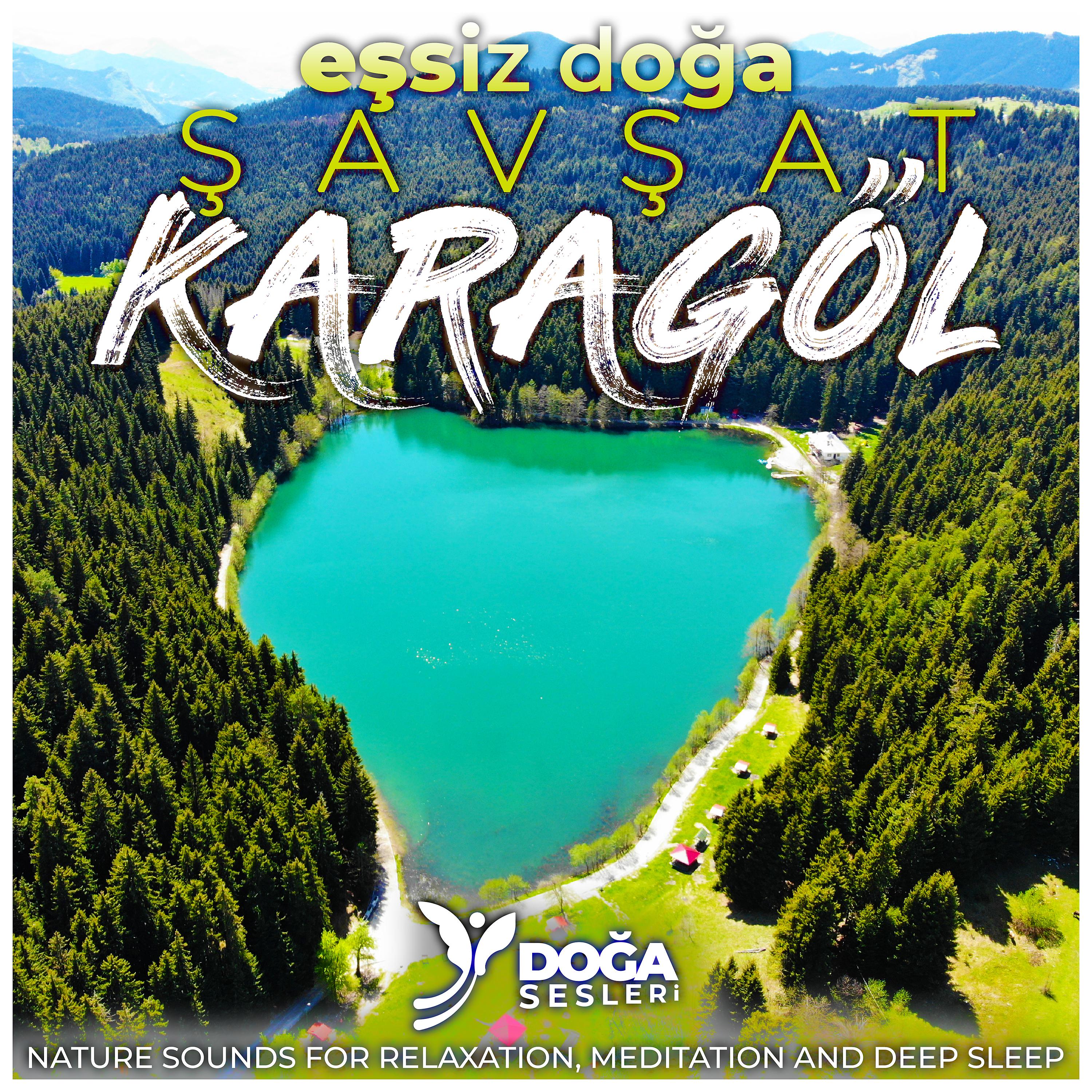 Постер альбома Eşsiz Doğa Şavşat Karagöl
