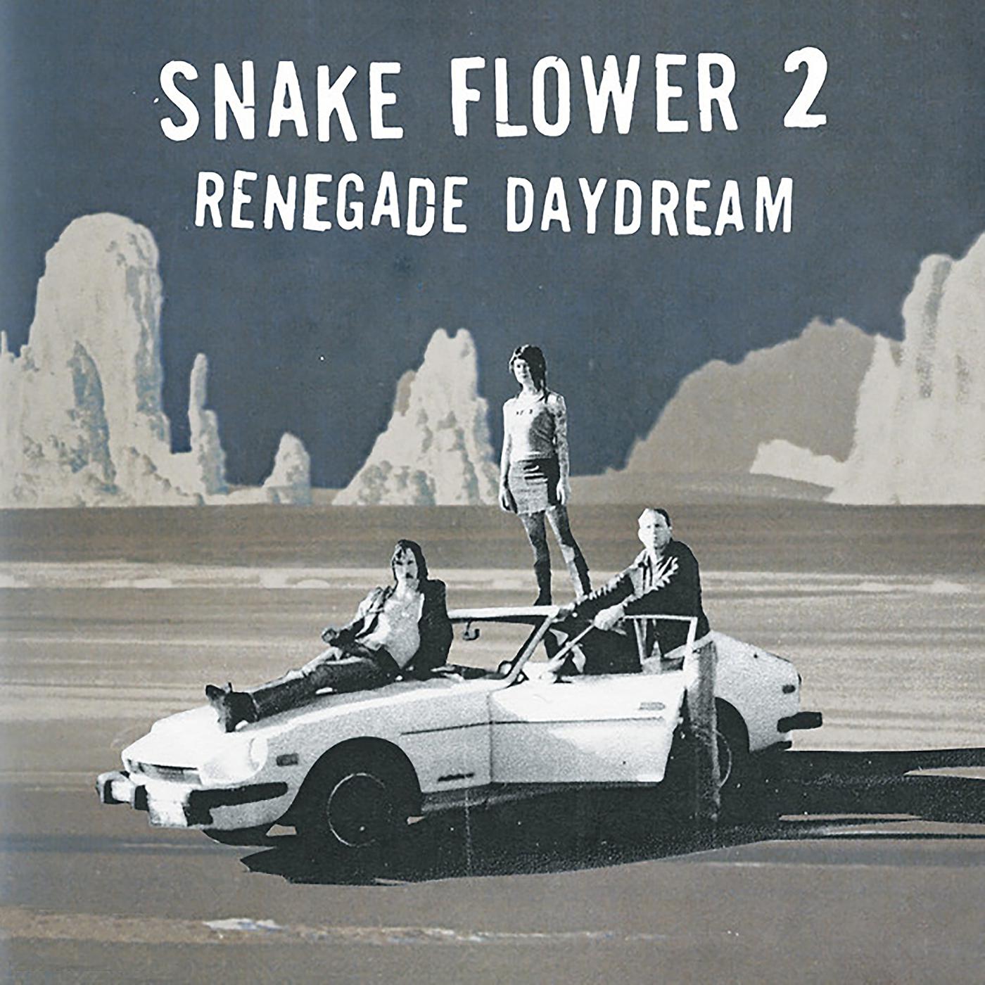 Постер альбома Renegade Daydream