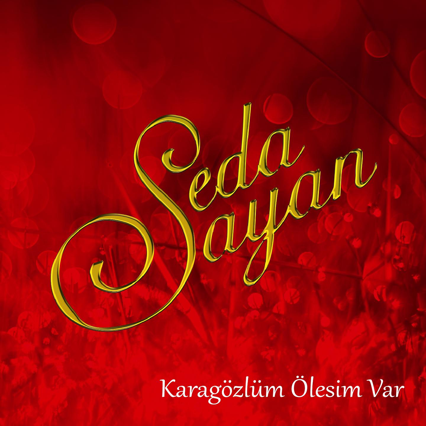 Постер альбома Karagözlüm Ölesim Var