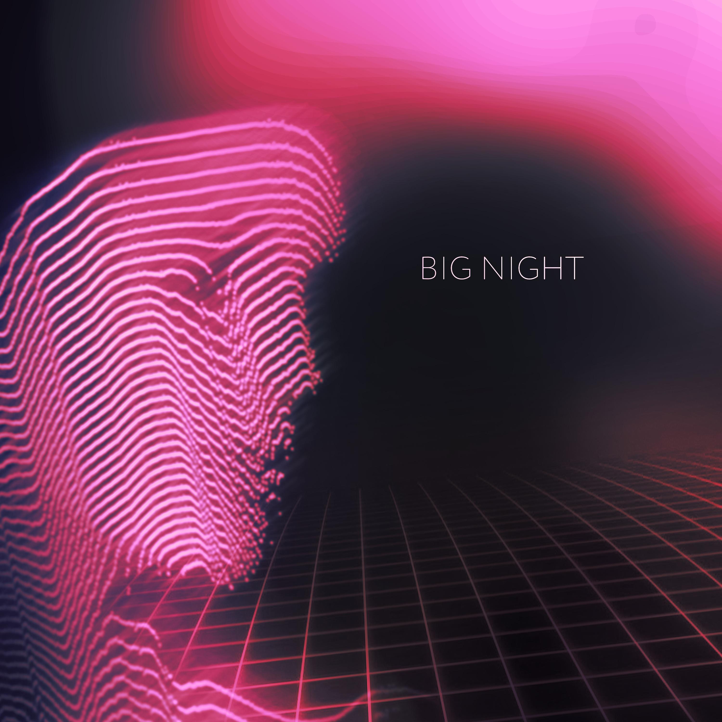Постер альбома BIG NIGHT