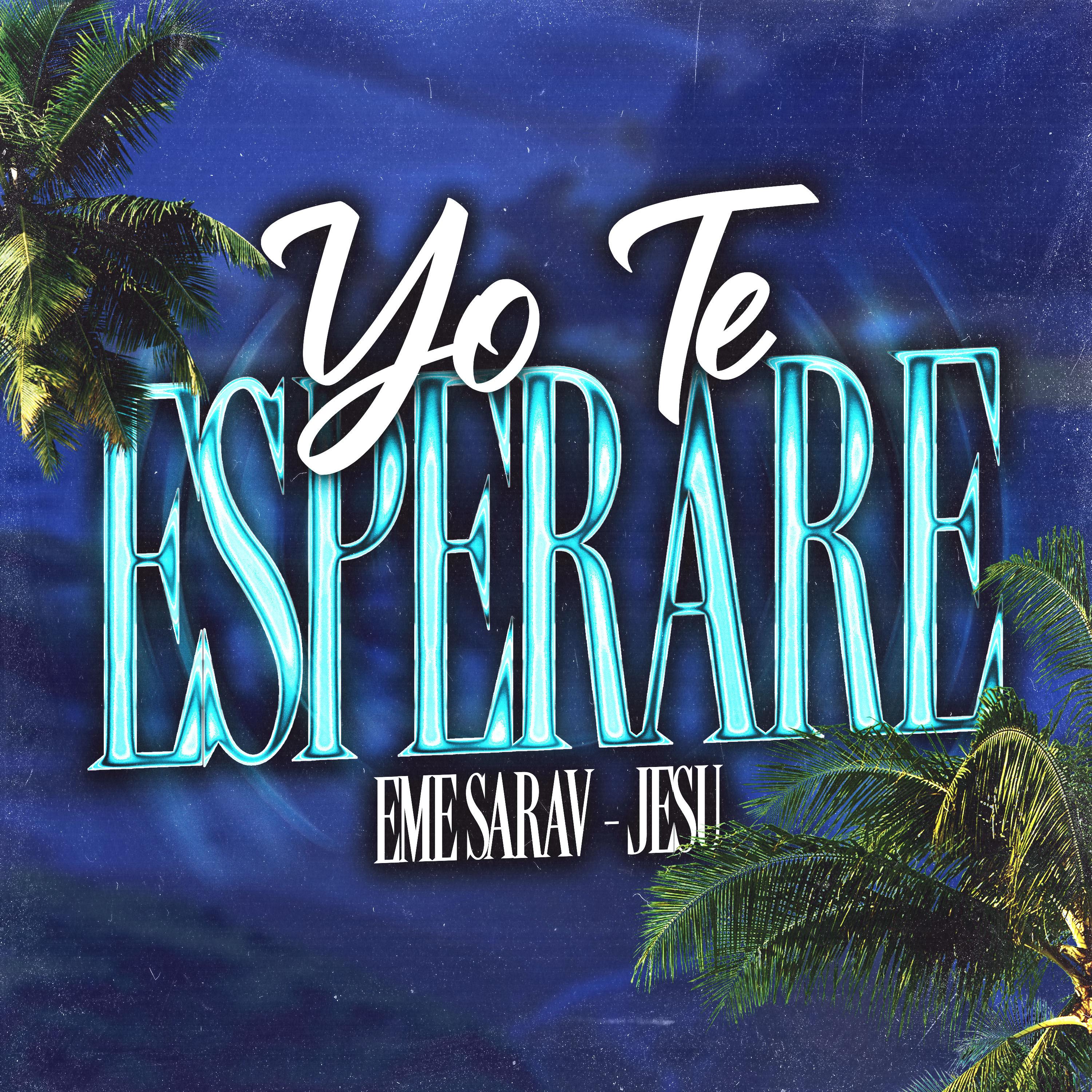 Постер альбома Yo Te Esperare