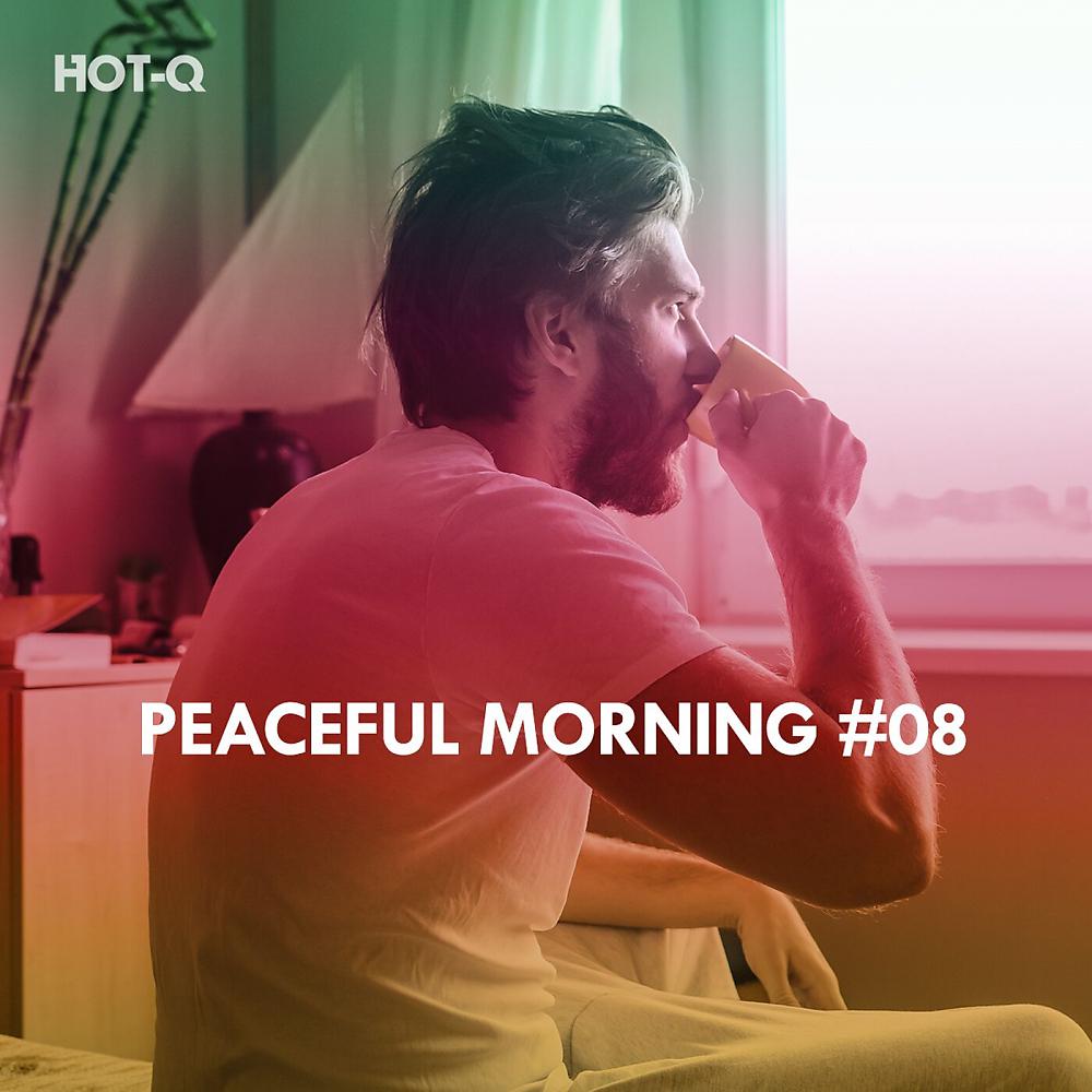 Постер альбома Peaceful Morning, Vol. 08
