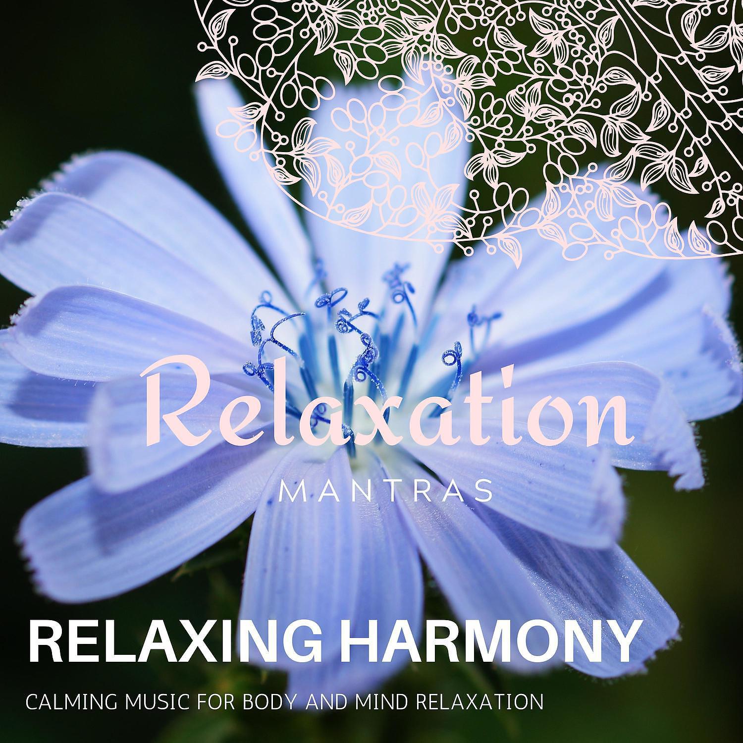 Постер альбома Relaxing Harmony - Calming Music for Body and Mind Relaxation