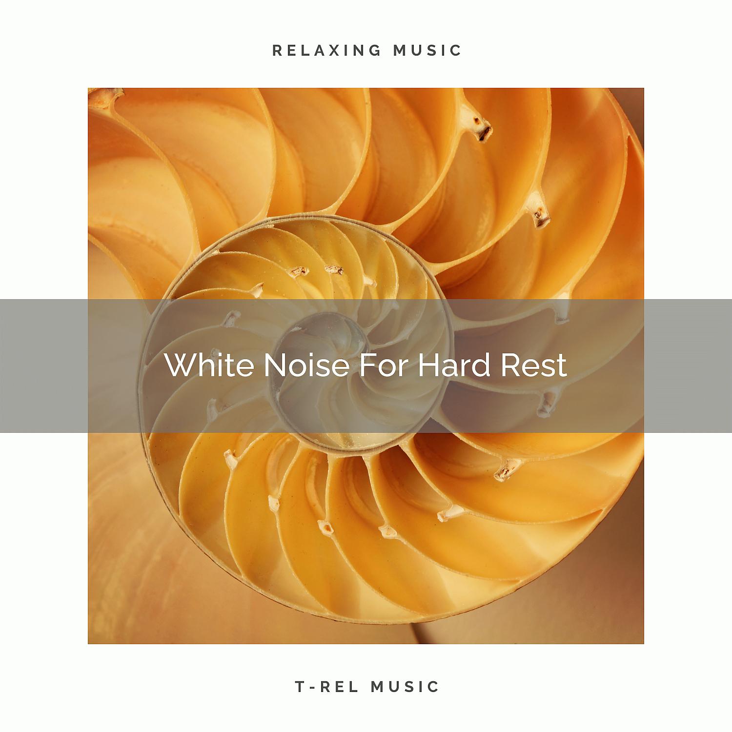 Постер альбома White Noise For Hard Rest