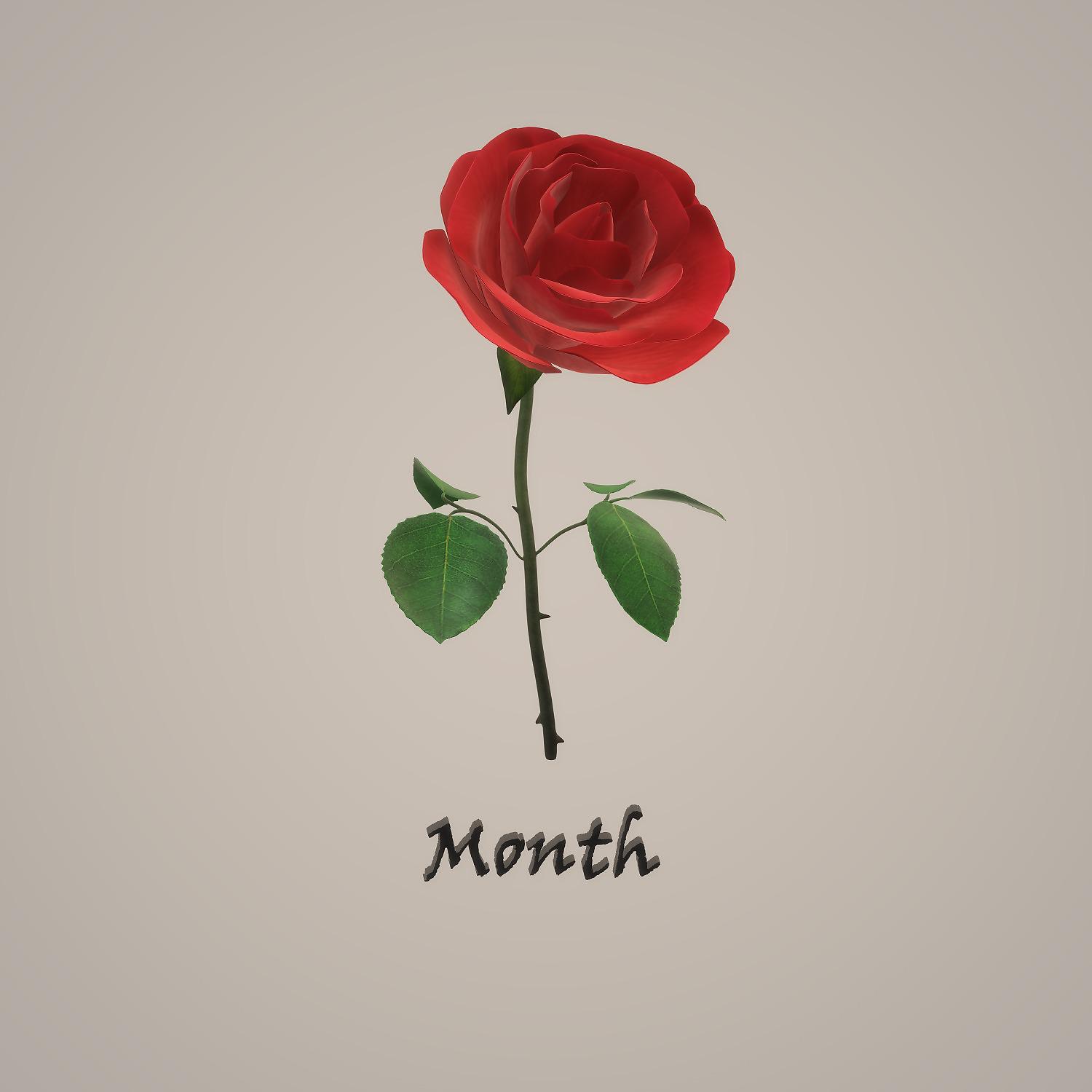 Постер альбома month