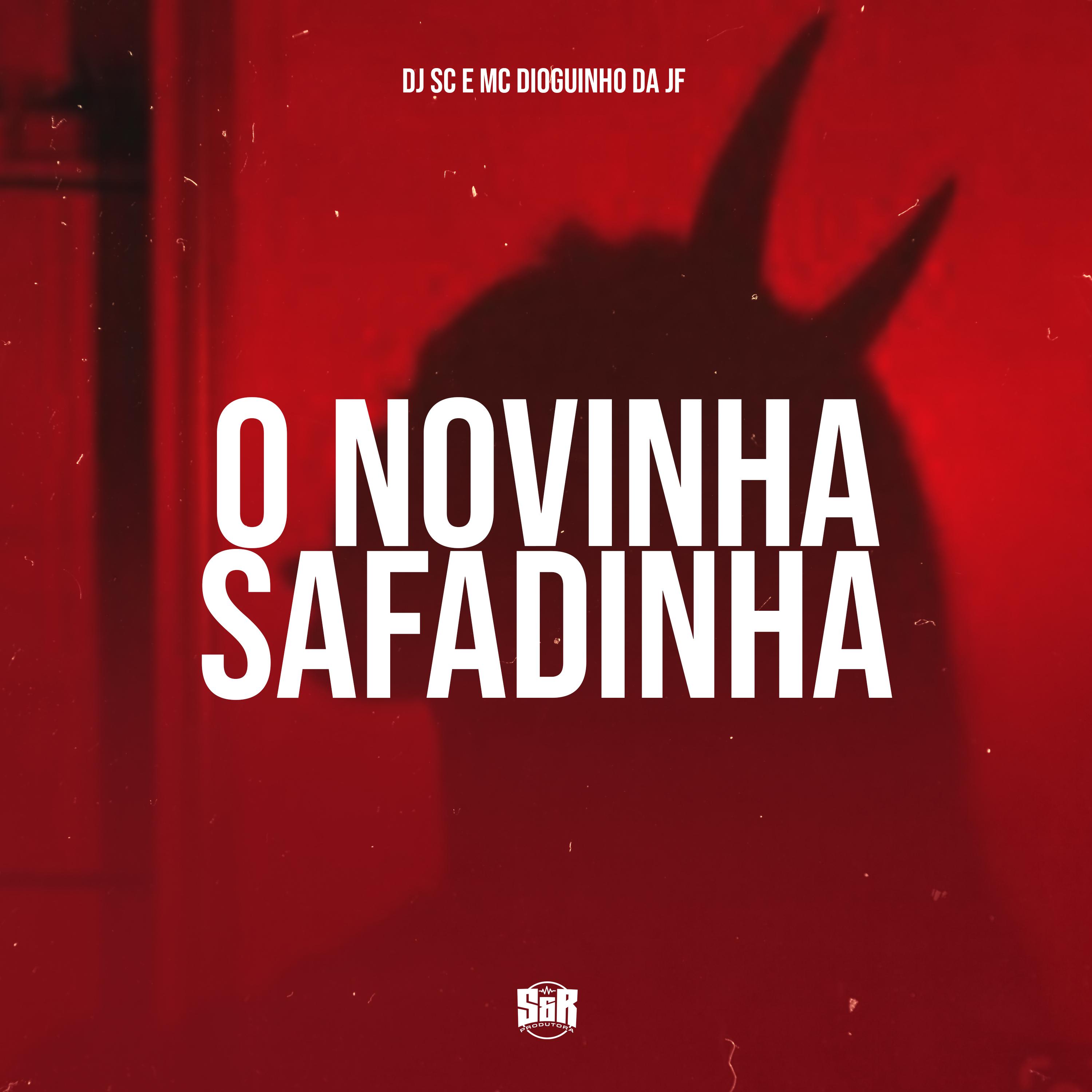 Постер альбома O Novinha Safadinha