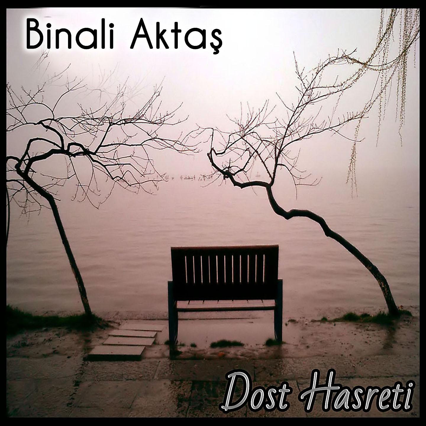 Постер альбома Dost Hasreti
