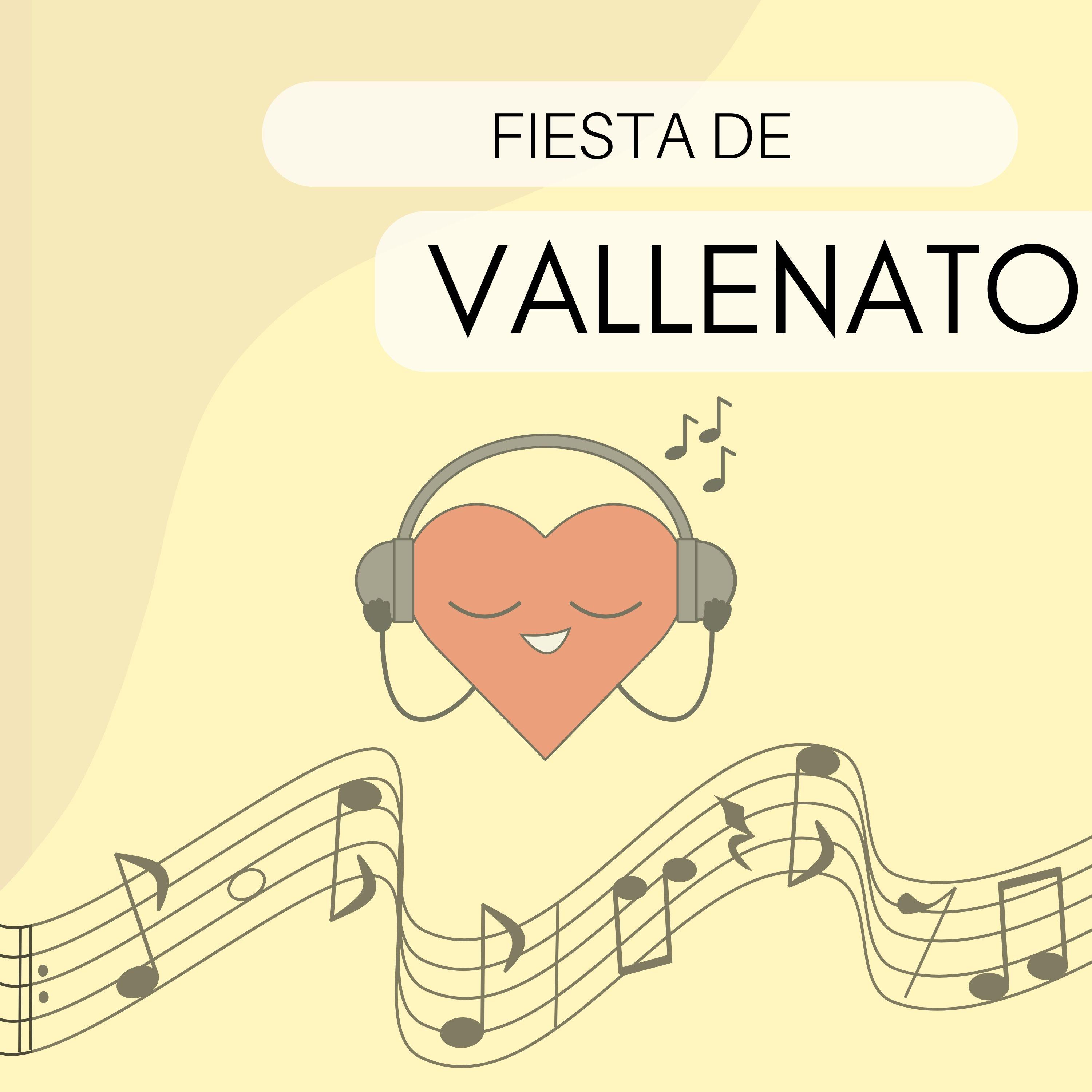 Постер альбома Fiesta de Vallenato