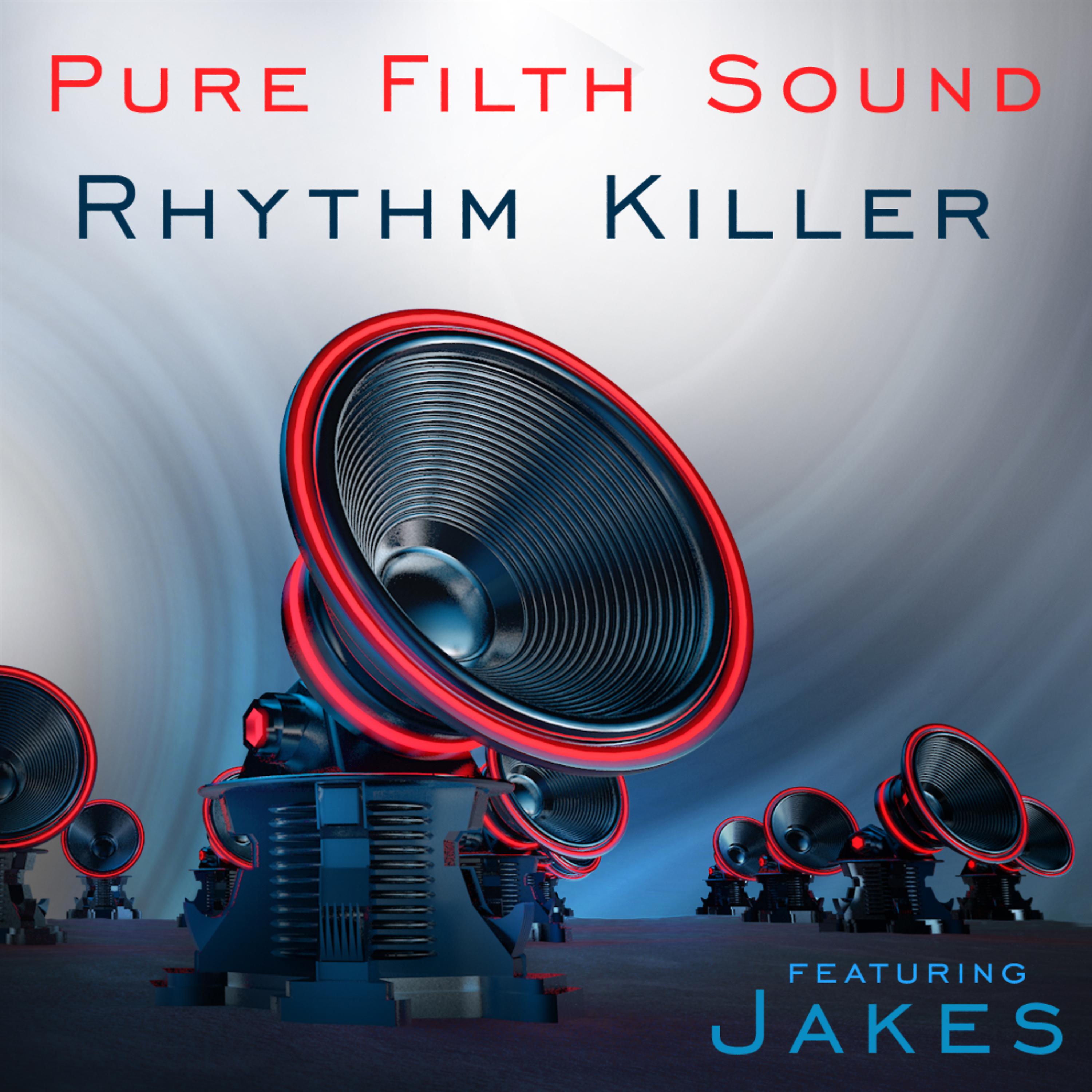 Постер альбома Rhythm Killer