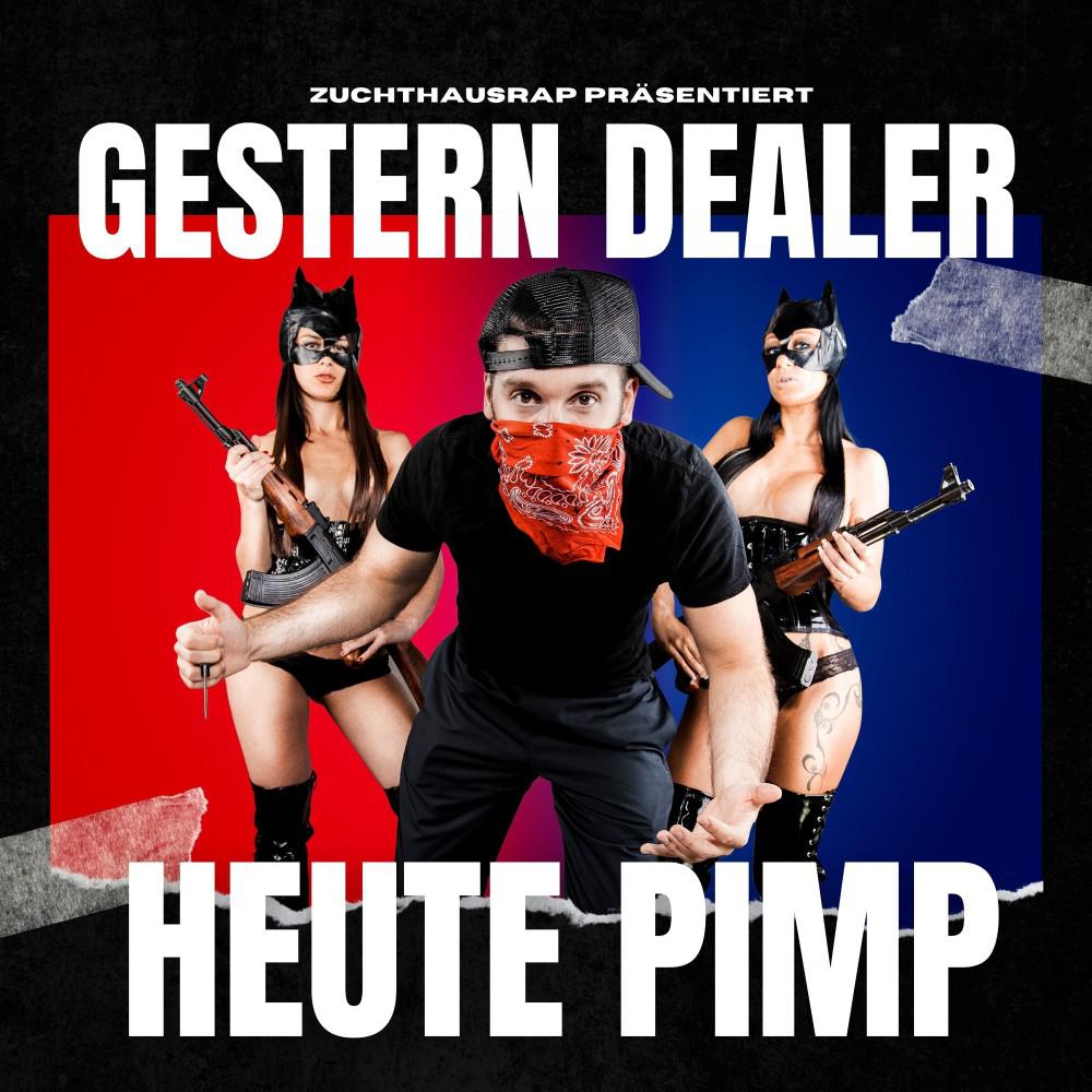 Постер альбома Gestern Dealer Heute Pimp