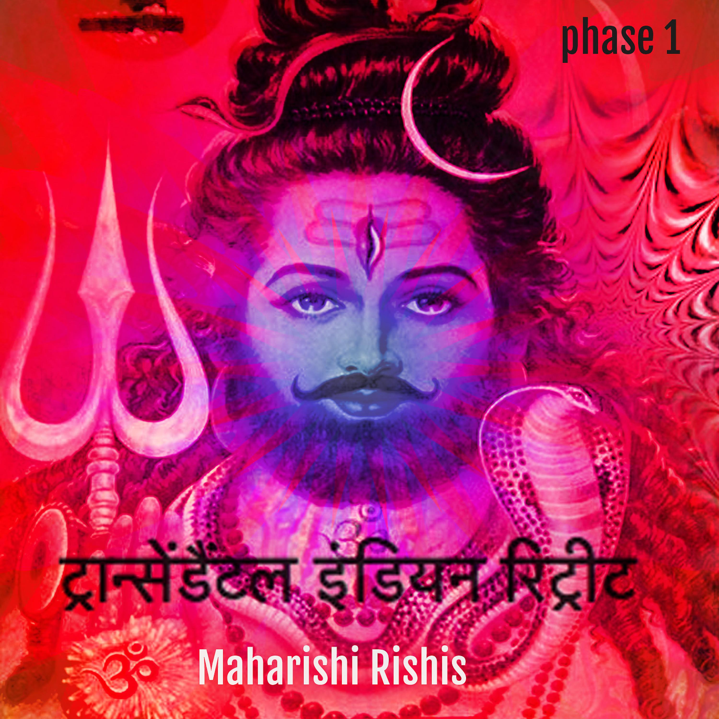 Постер альбома Transcendental Indian Chill Phase 1