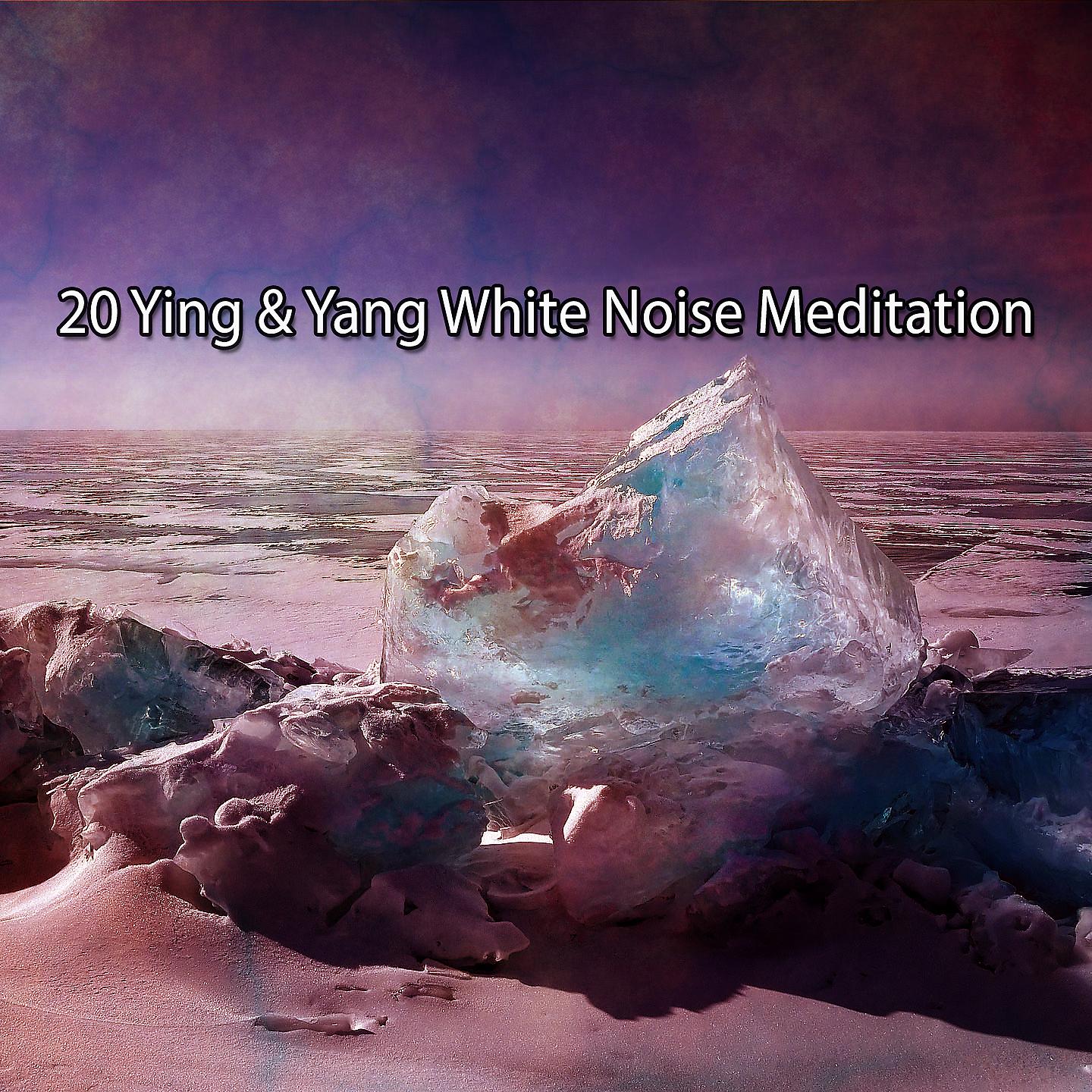 Постер альбома 20 Медитация белого шума Инь и Ян