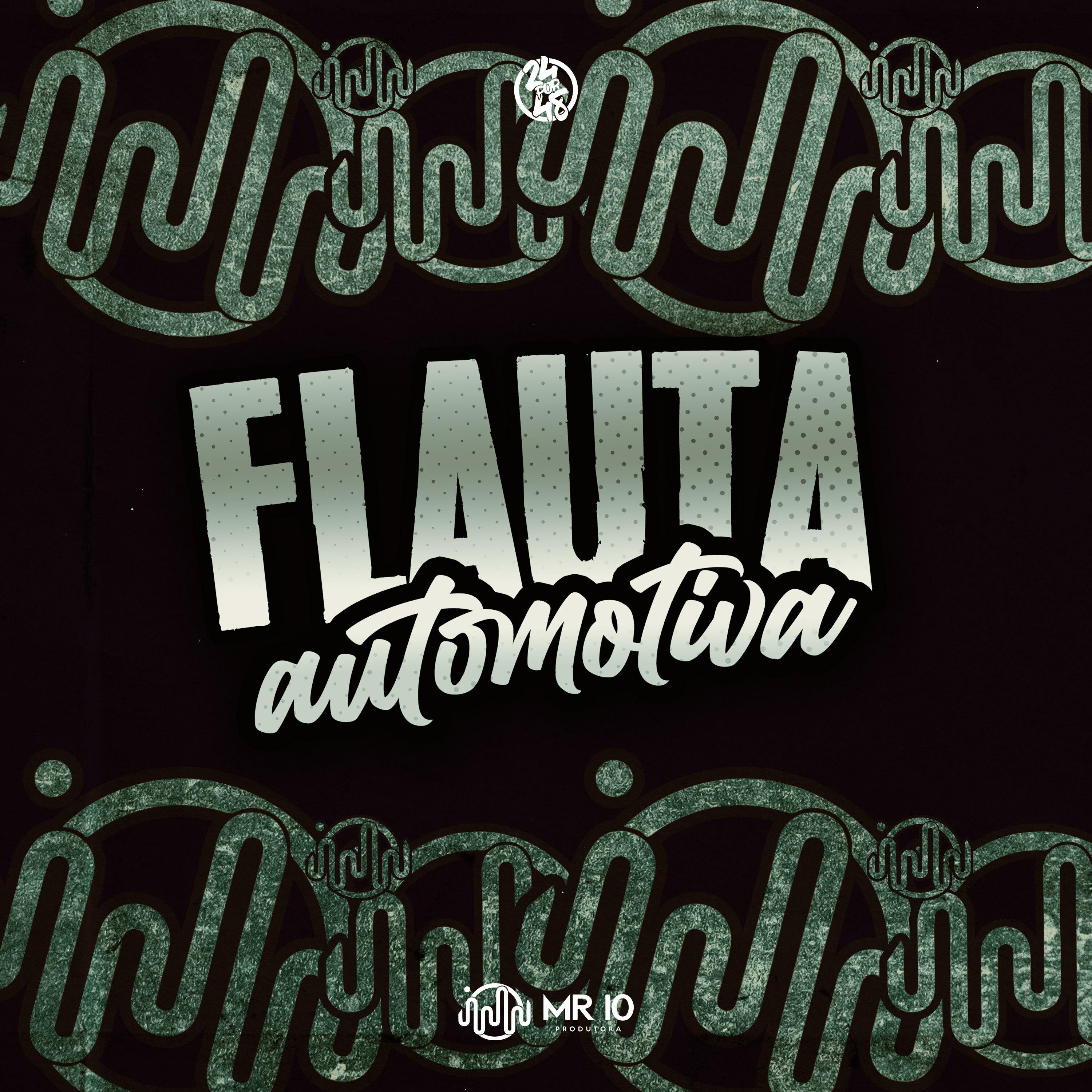 Постер альбома Flaut Automotive
