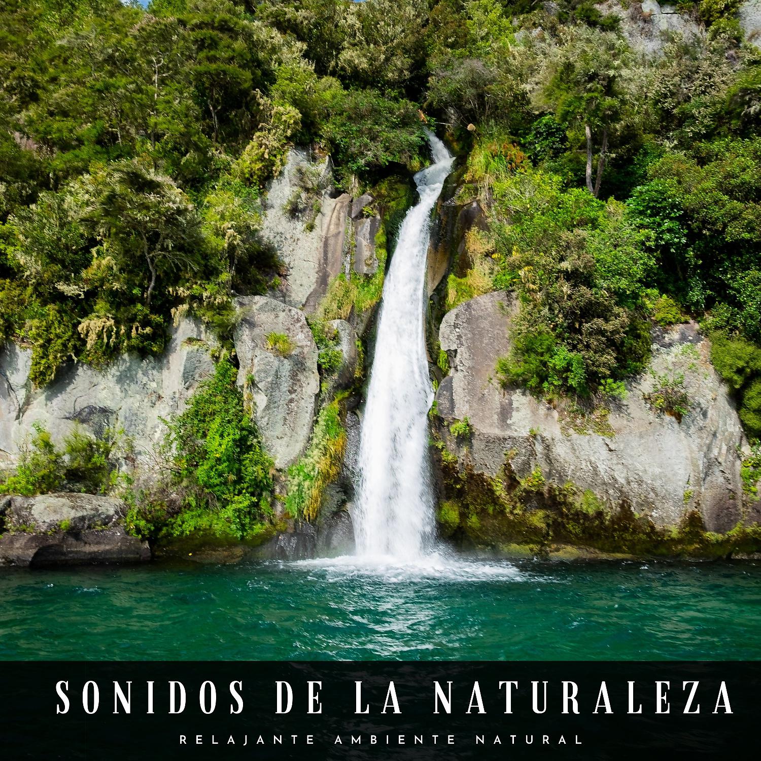 Постер альбома Sonidos De La Naturaleza: Relajante Ambiente Natural