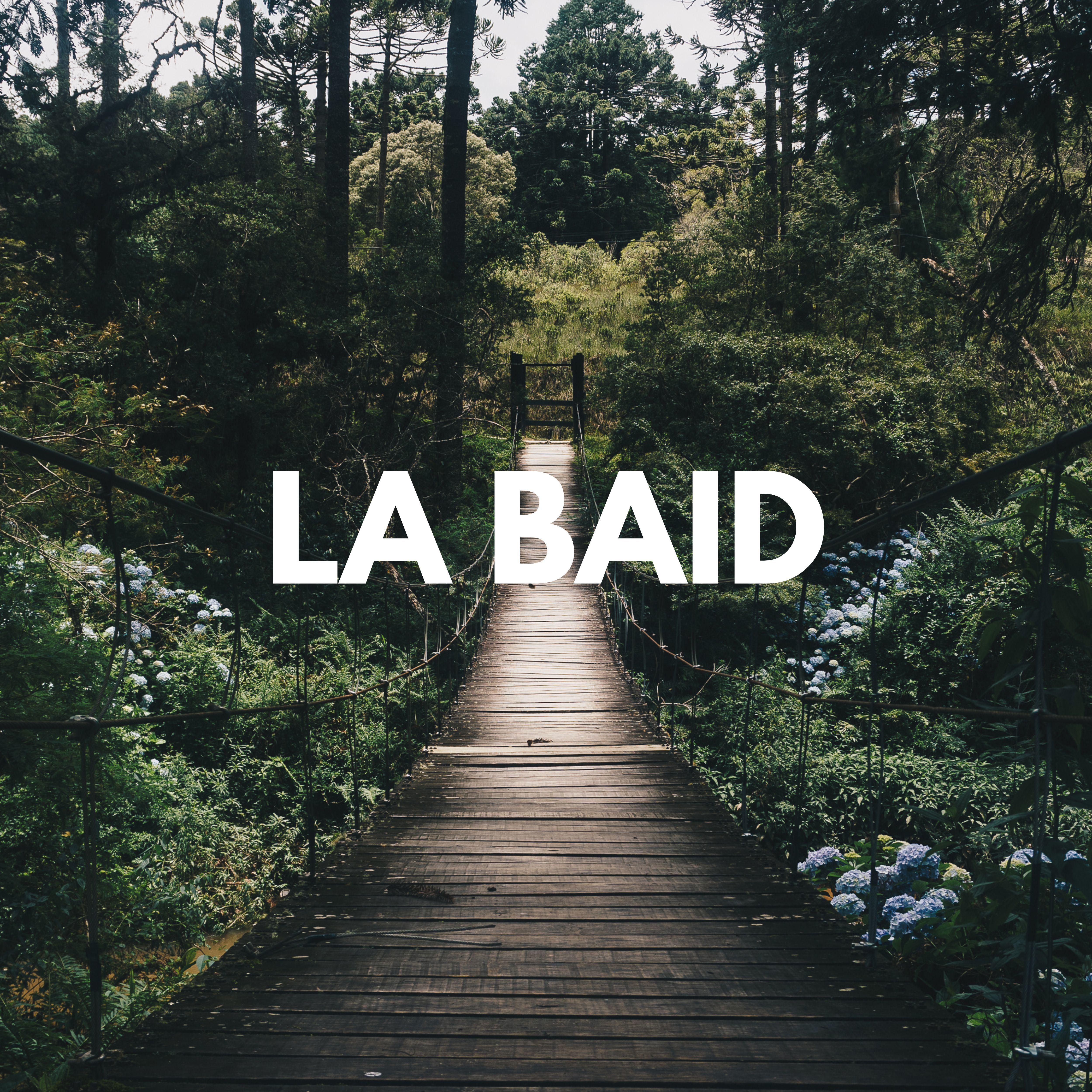 Постер альбома La Baid