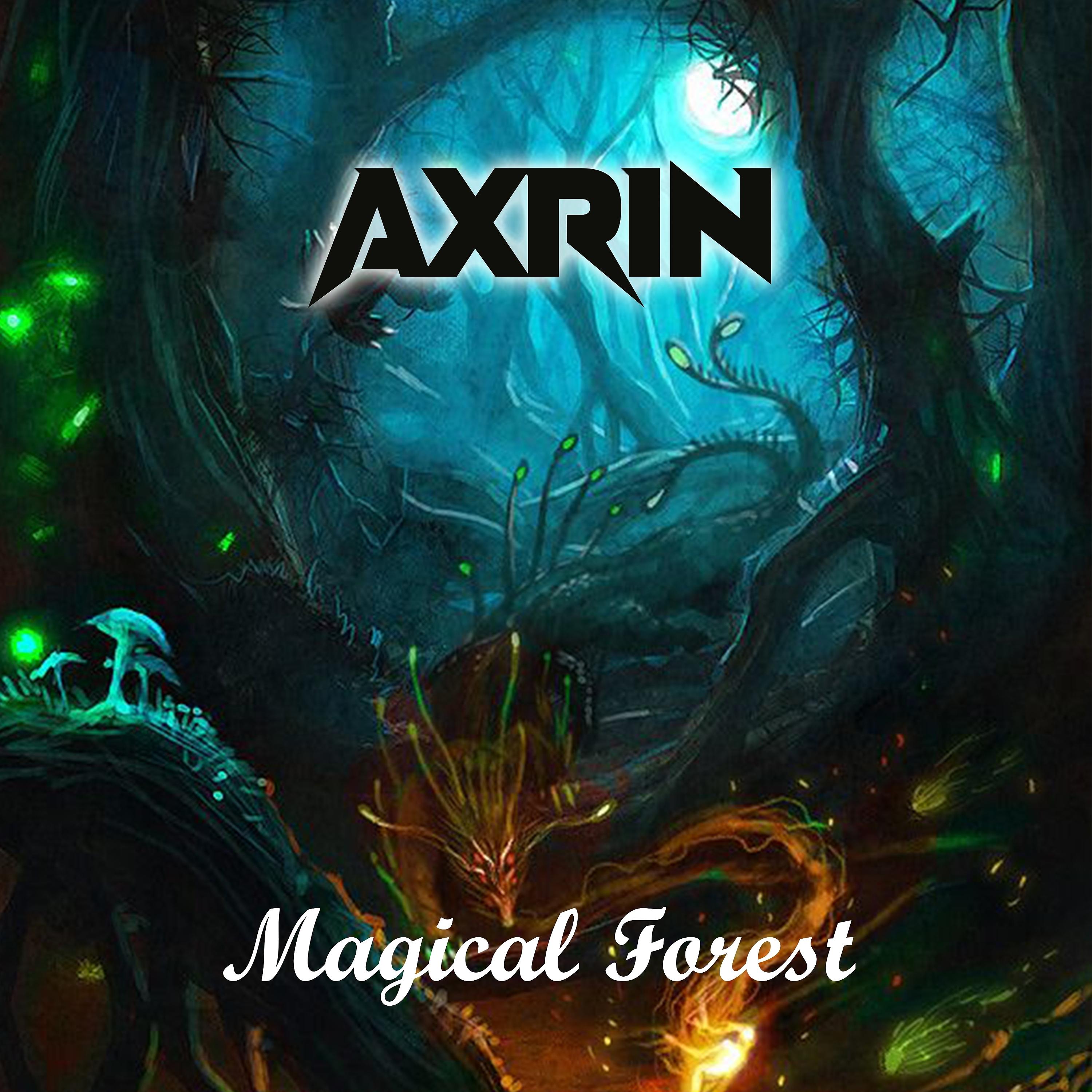 Постер альбома Magical Forest