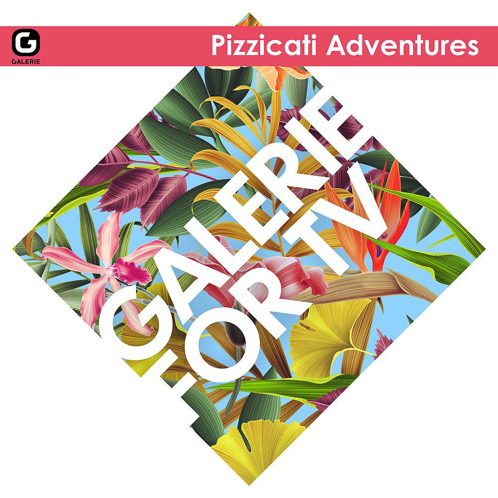 Постер альбома Galerie for TV - Pizzicati Adventures