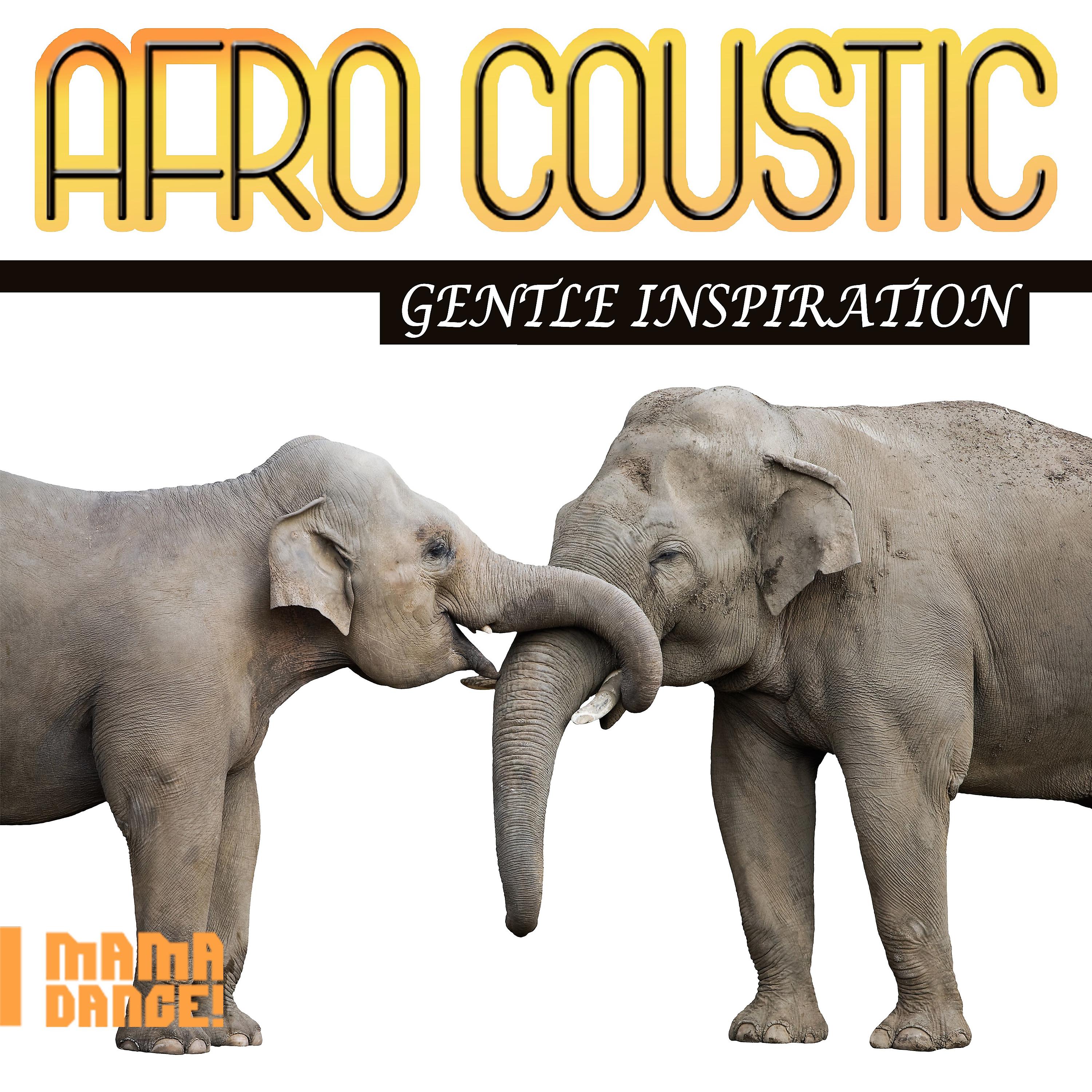 Постер альбома Afro Coustic - Gentle Inspiration