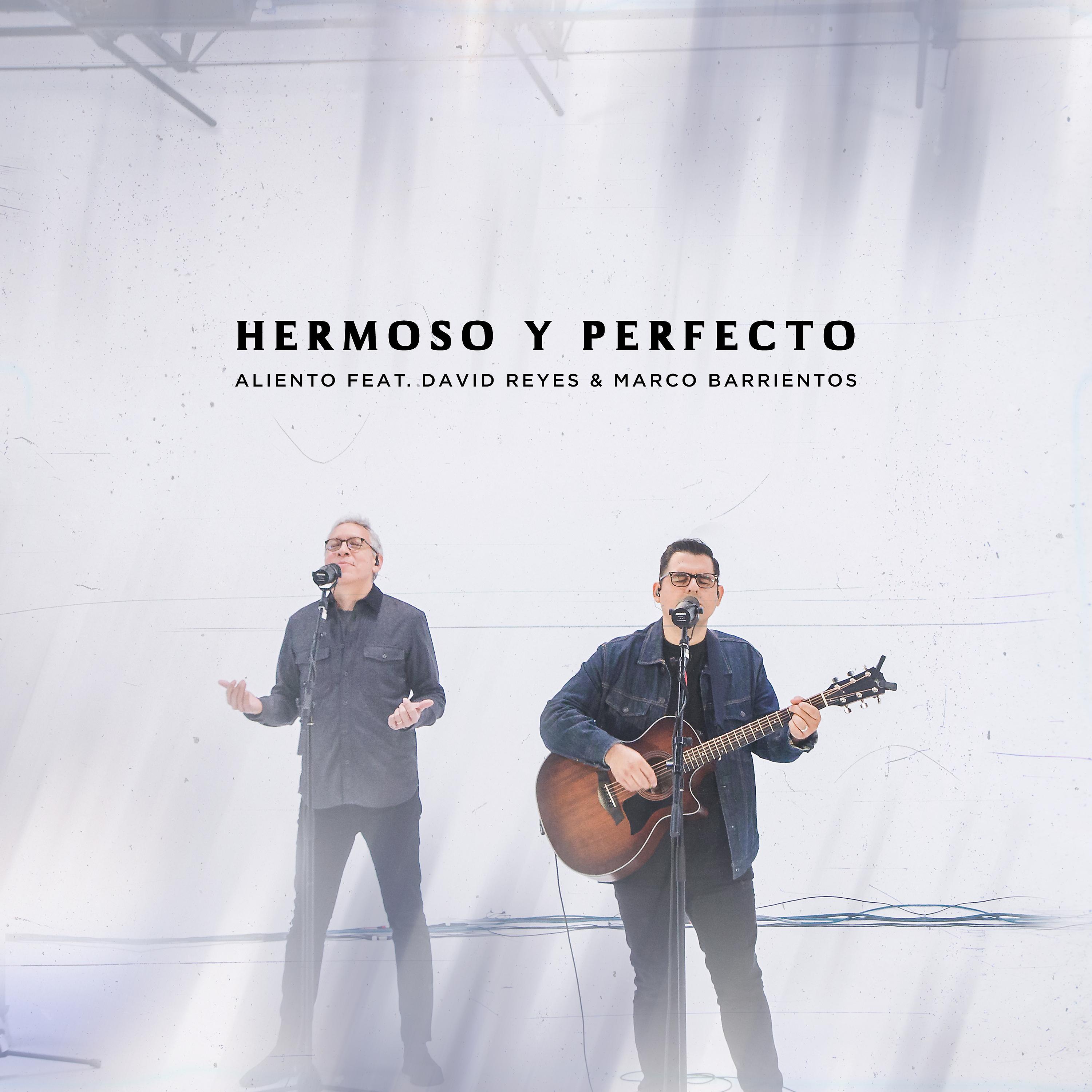 Постер альбома Hermoso y Perfecto (En Vivo)