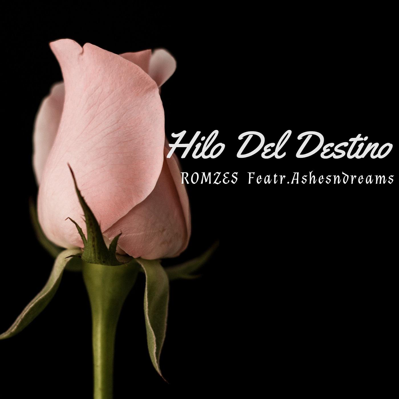 Постер альбома Hilo Del Destino (feat. Ashesndreams)