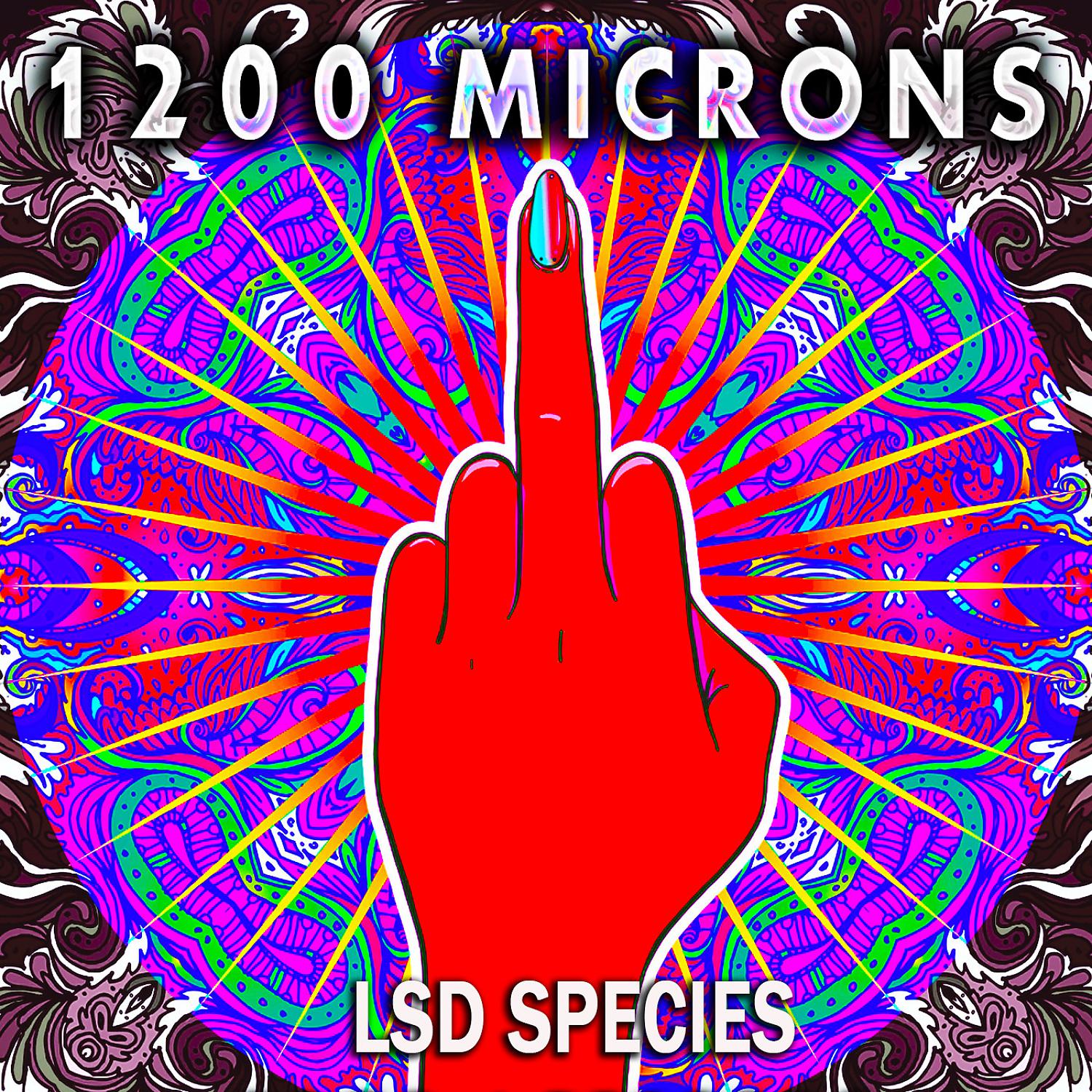 Постер альбома LSD Species