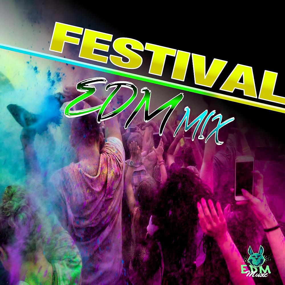 Постер альбома Festival EDM Mix