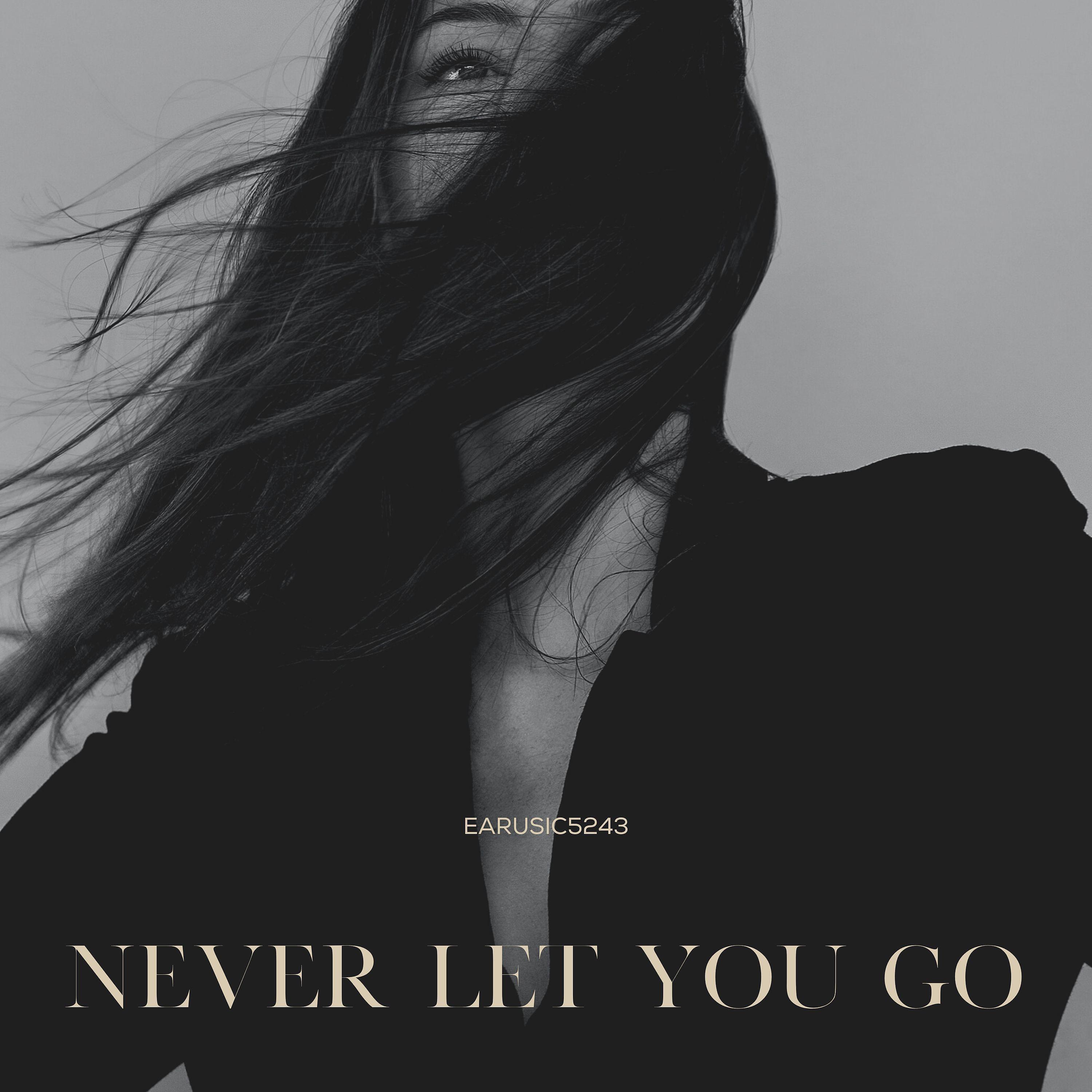 Постер альбома Never Let You Go
